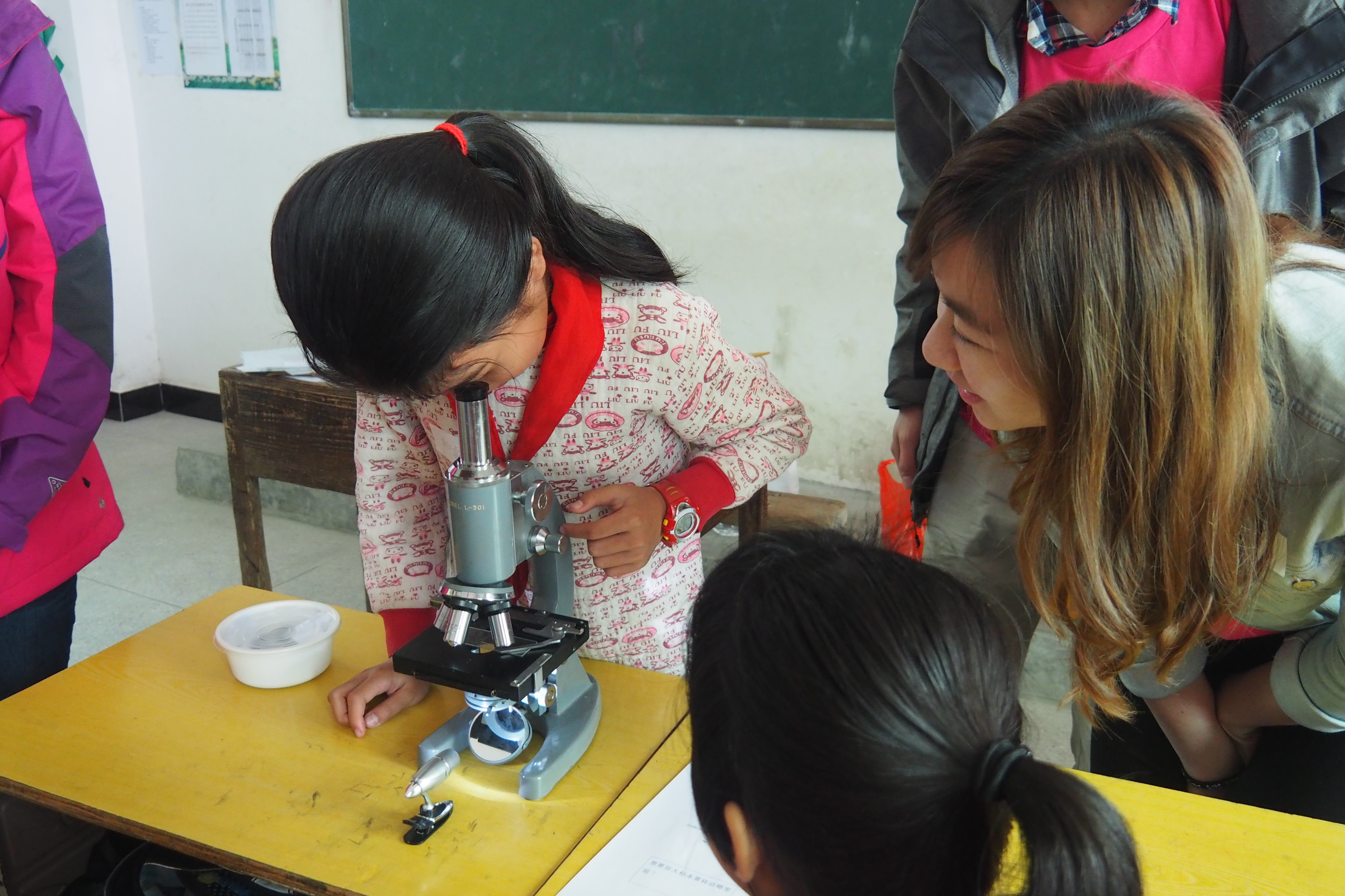 Introducing the use of microscopes