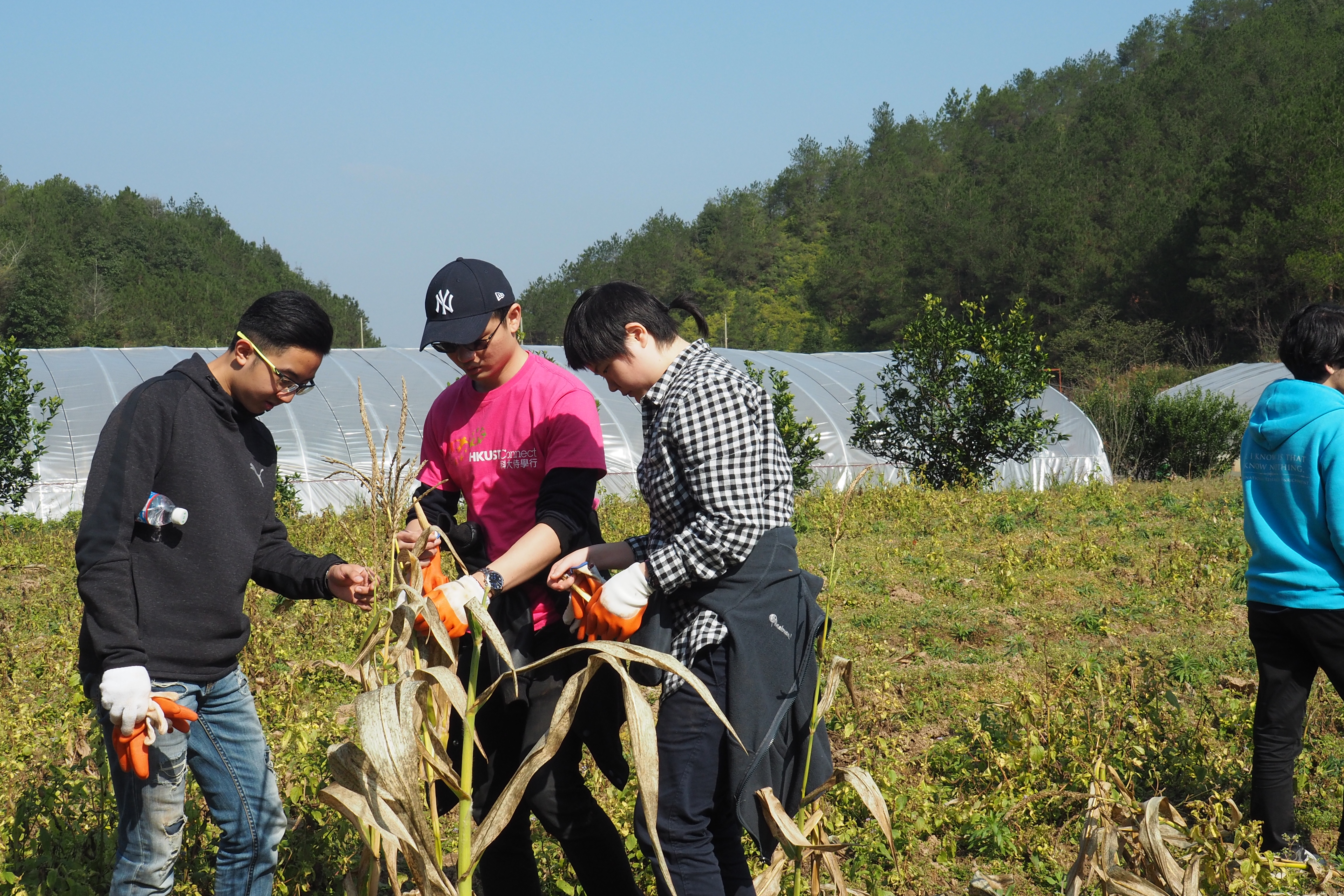 The team visiting the organic farm and practicing farm work