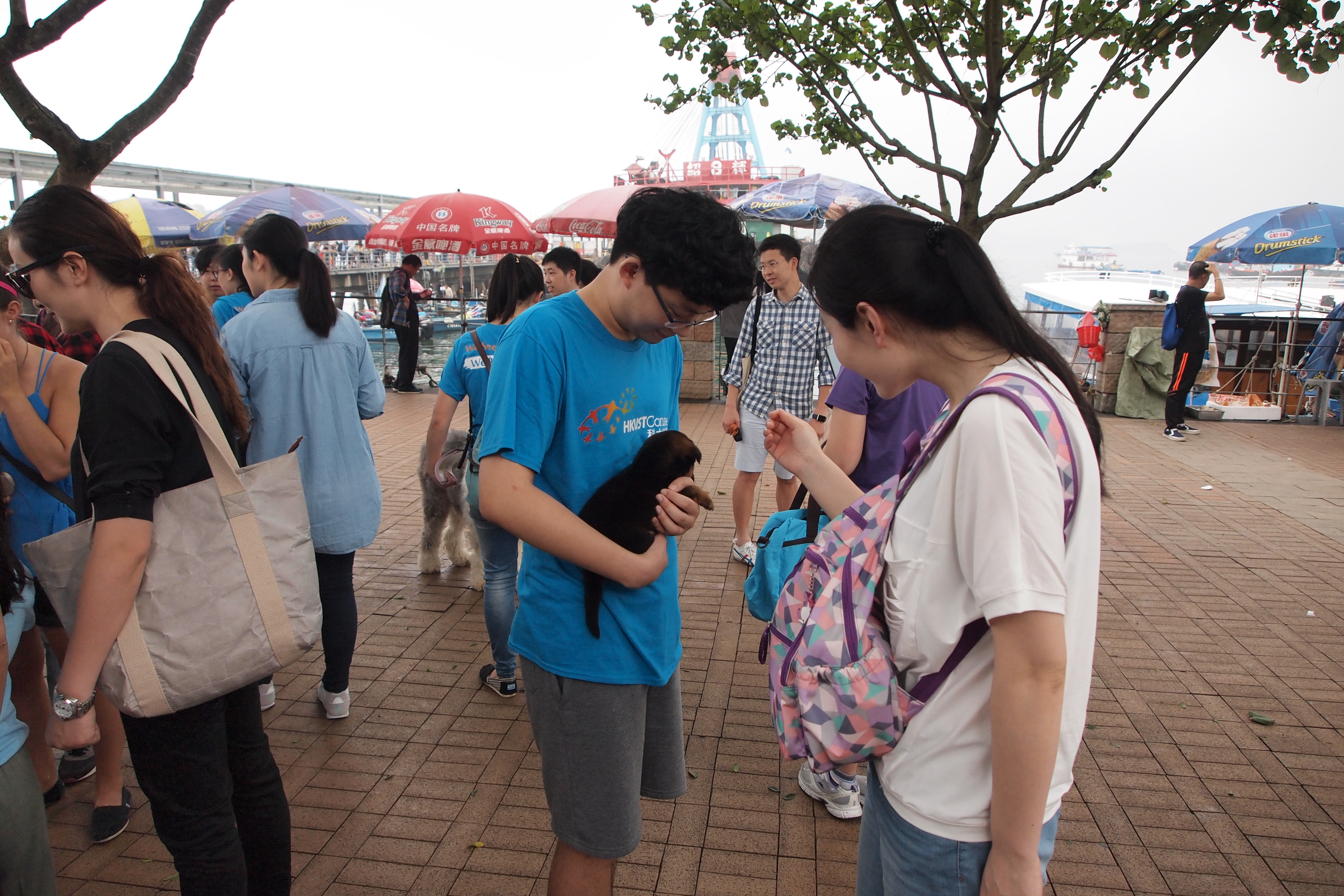 Volunteers promoting pet adoption on the street