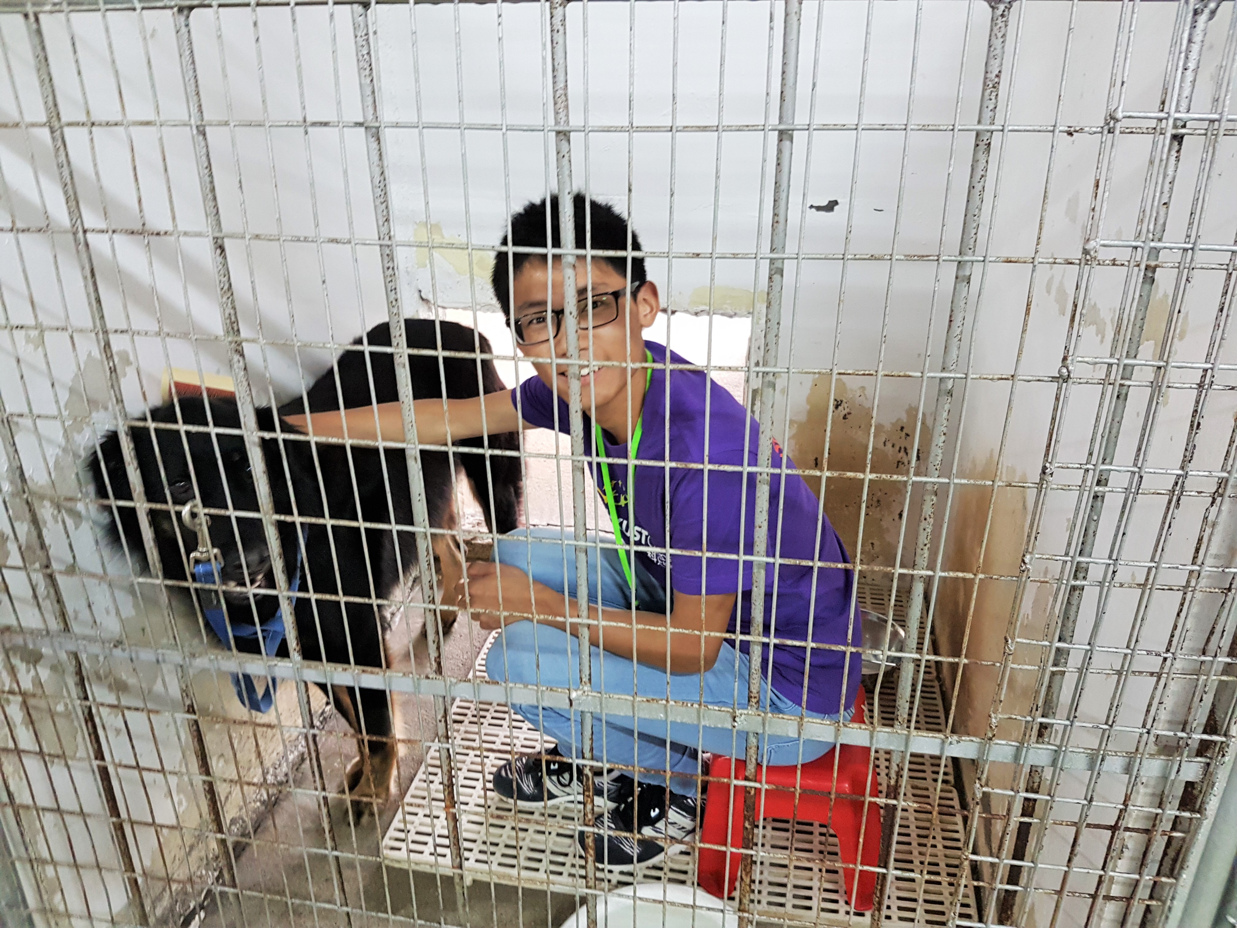 Volunteer grooming for the dog with a smile!