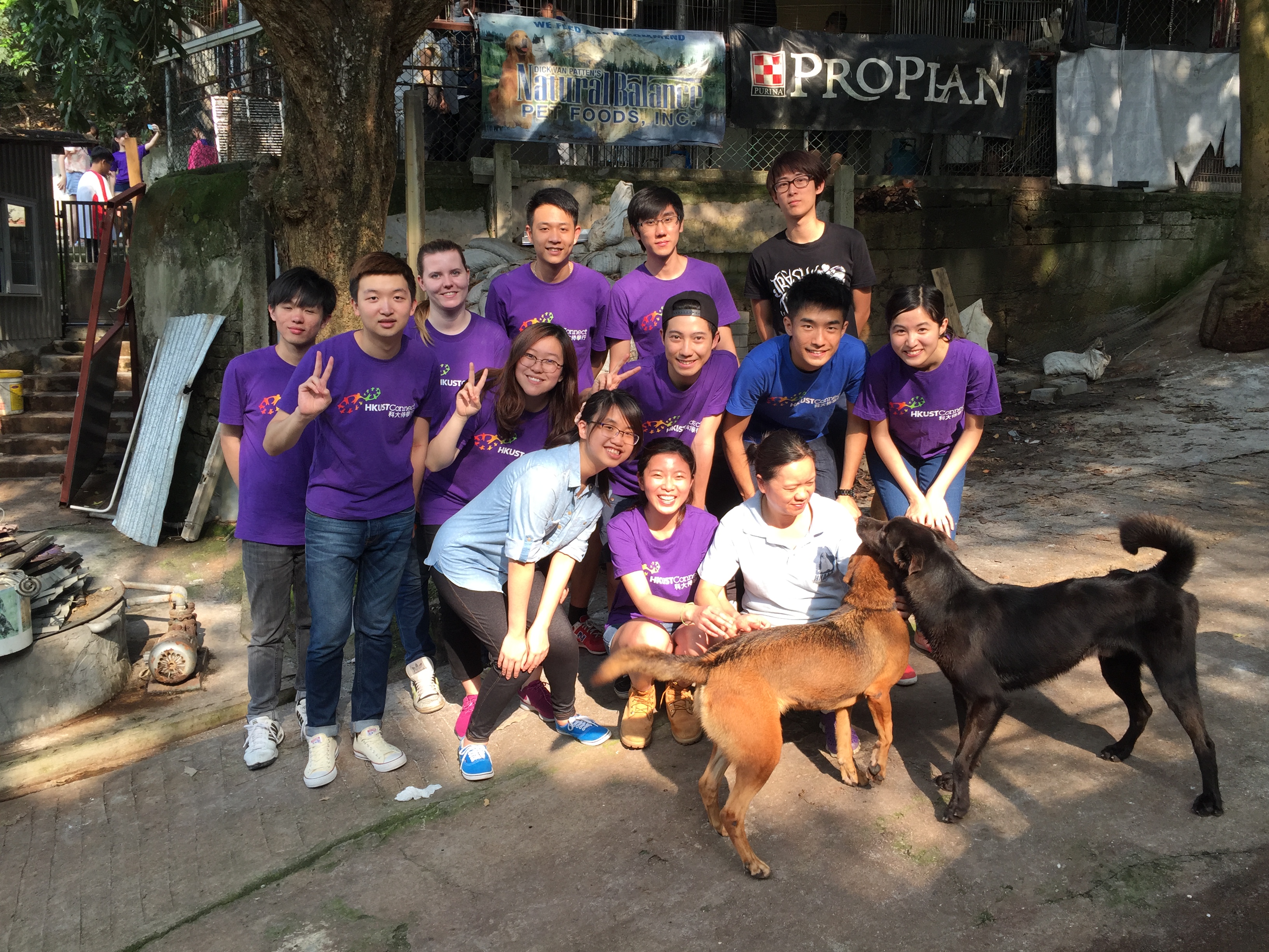 A group photo of the volunteers and dogs