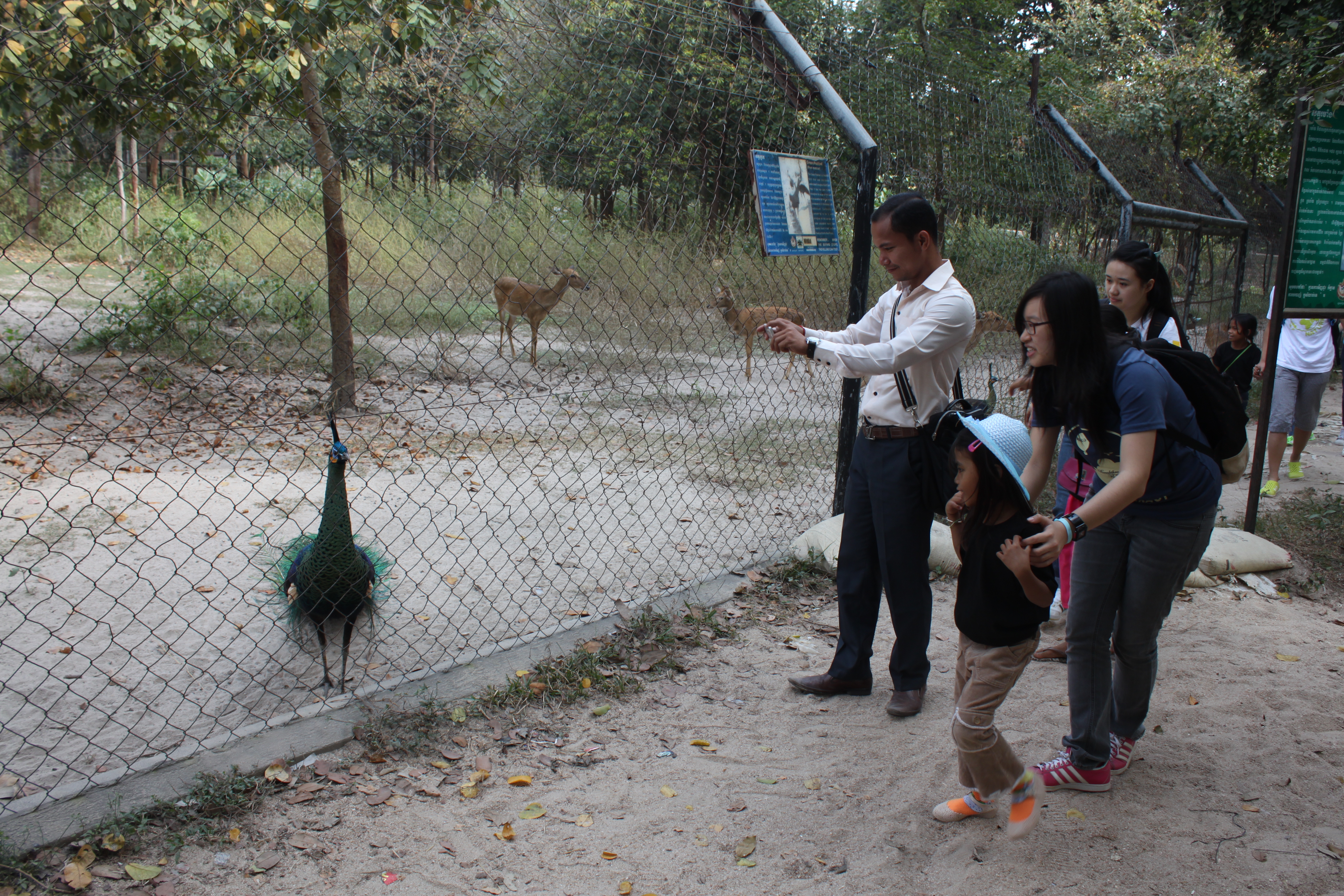 Visiting the Tamao Zoo