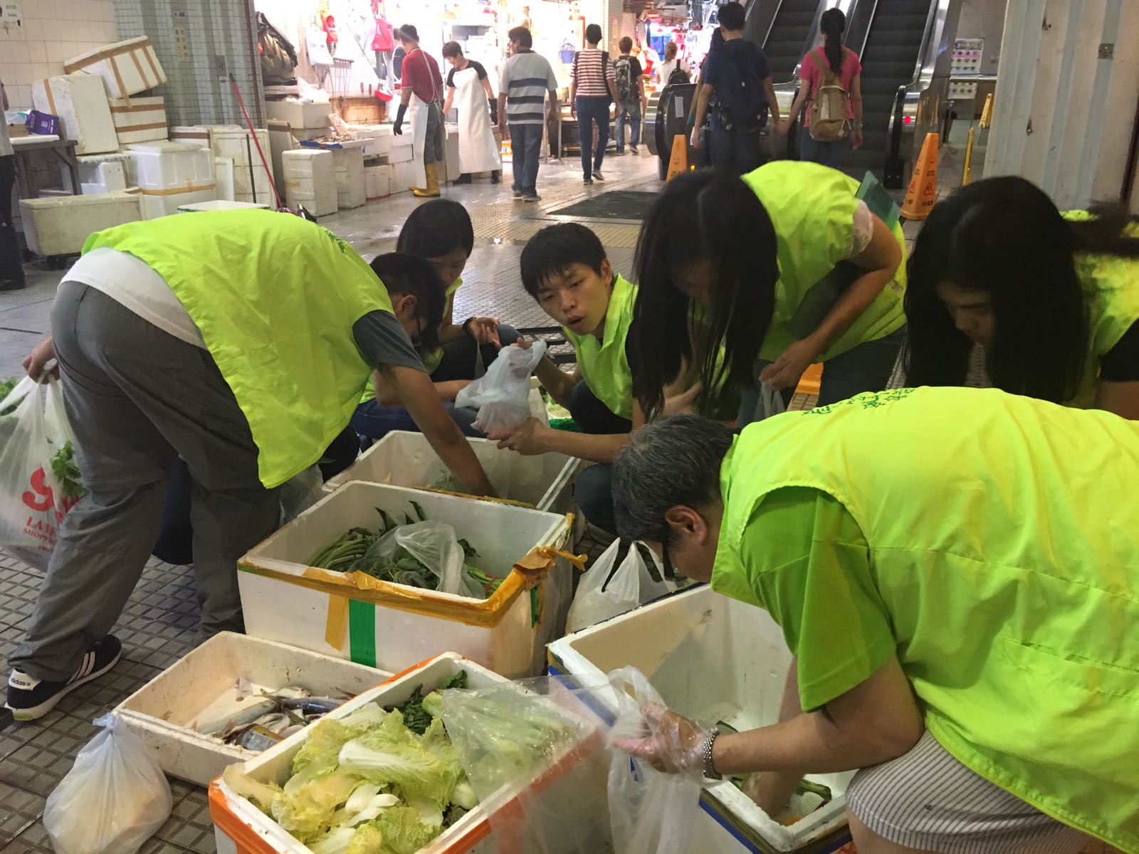 Student volunteer collecting the vegetables