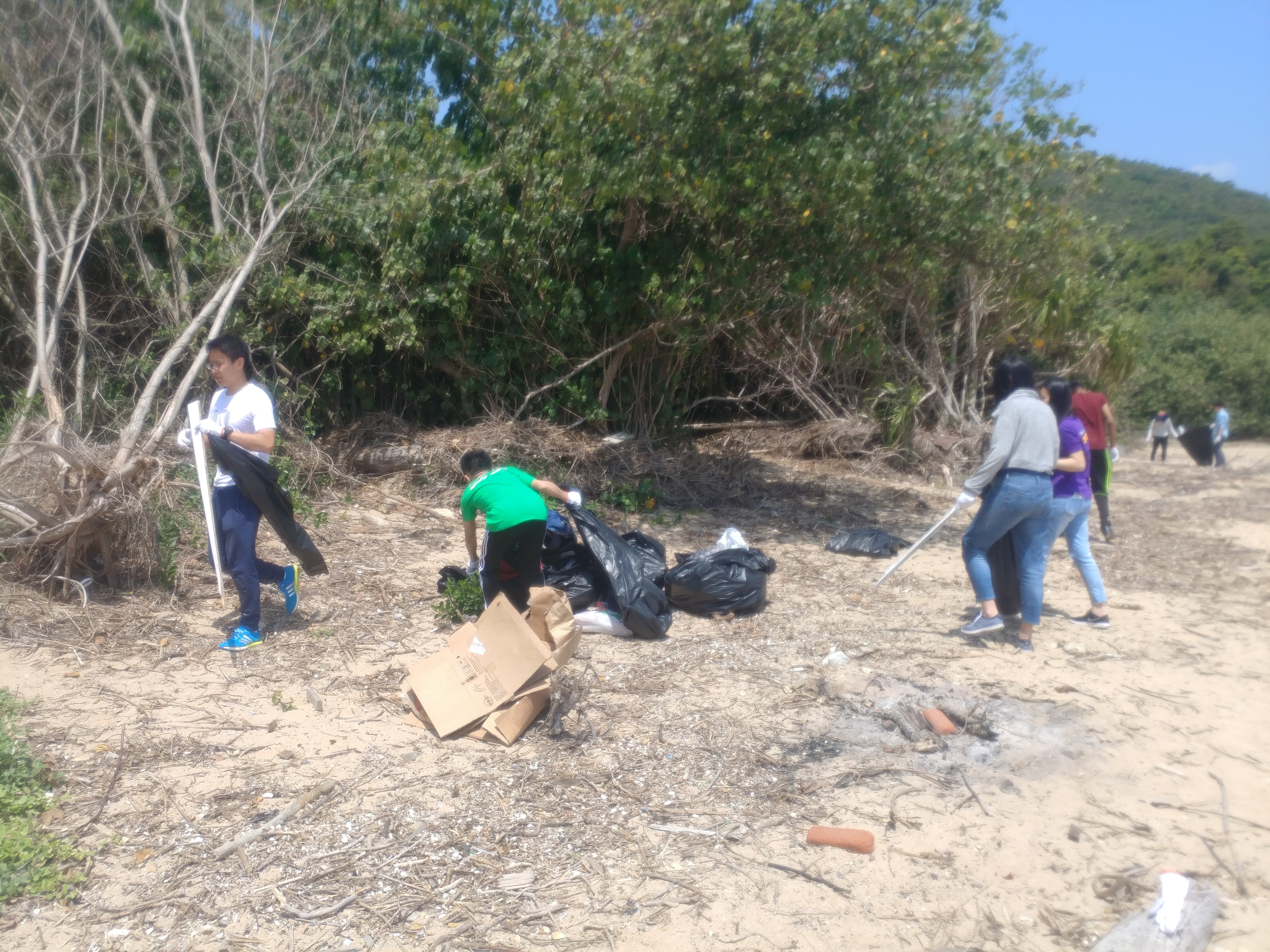 Volunteers collecting rubbish.