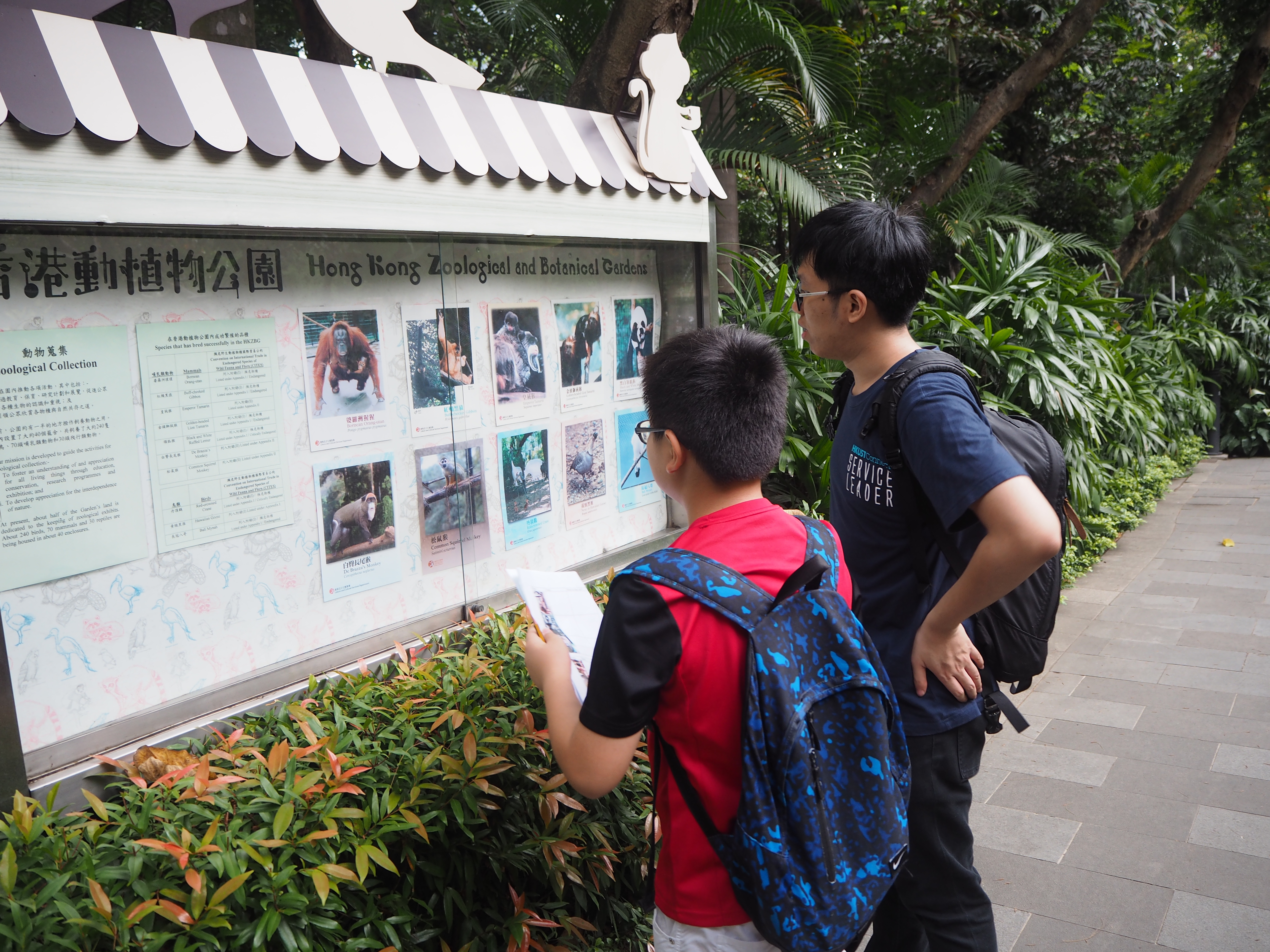 Children learning English around Hong Kong