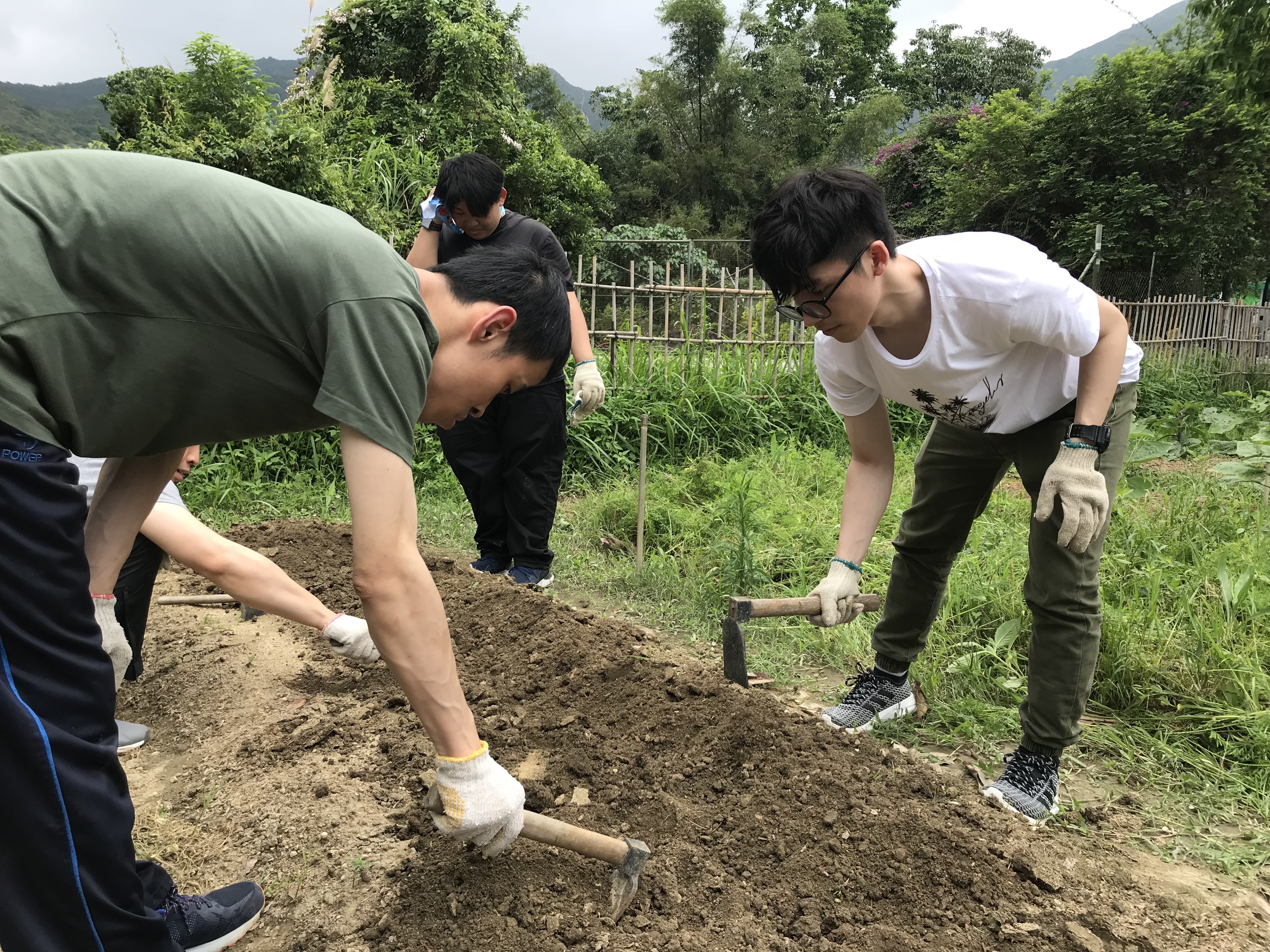 Volunteers experiencing farming together