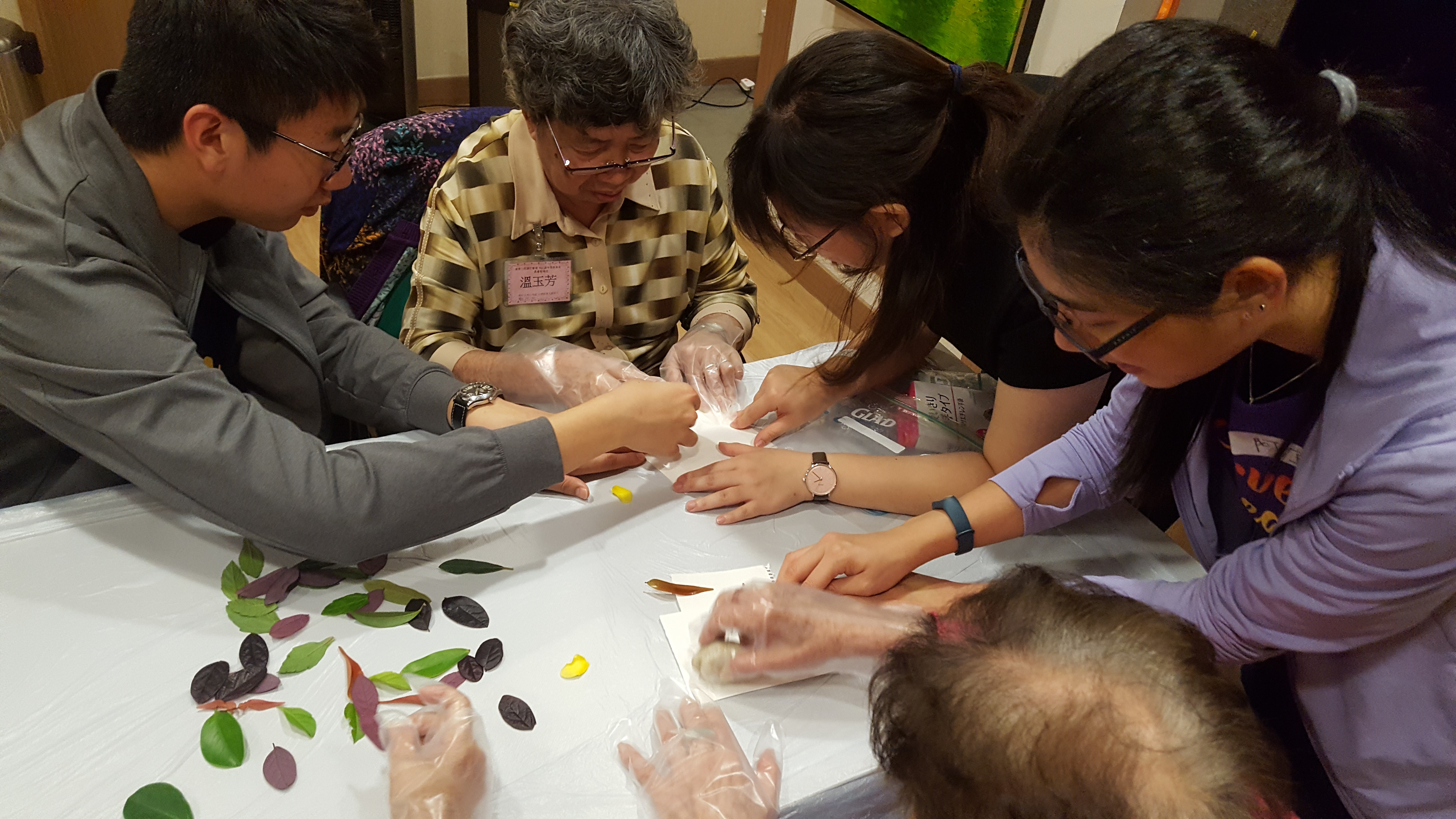 The elderly choosing their favorite plant