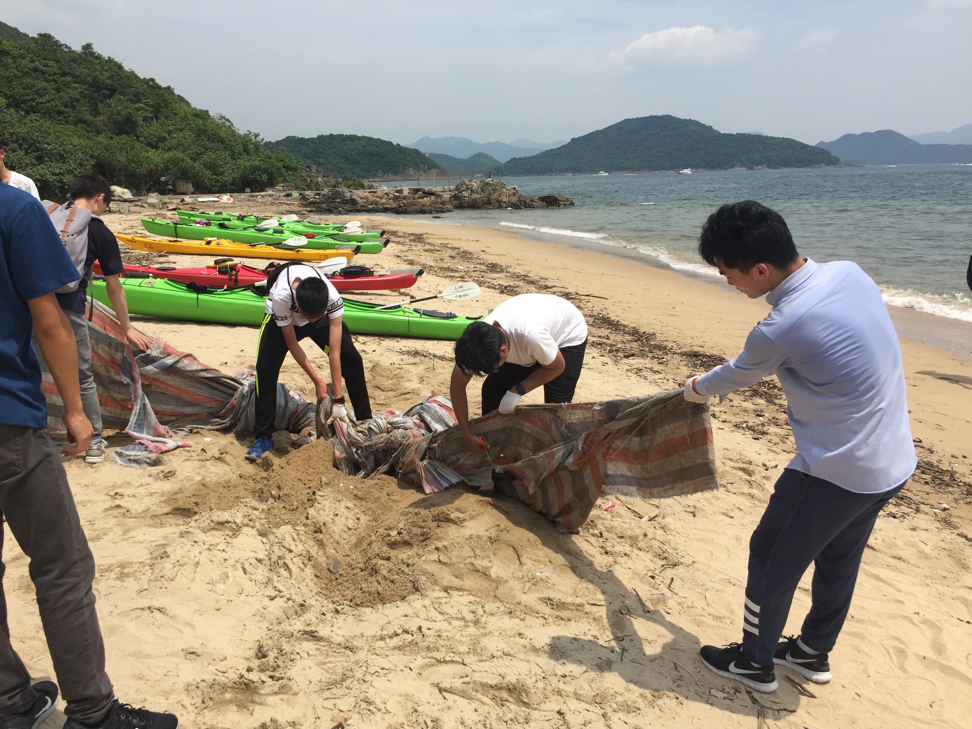 Volunteers in groups collect trash from the beach