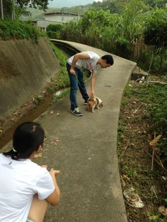 Volunteers walking with a dog