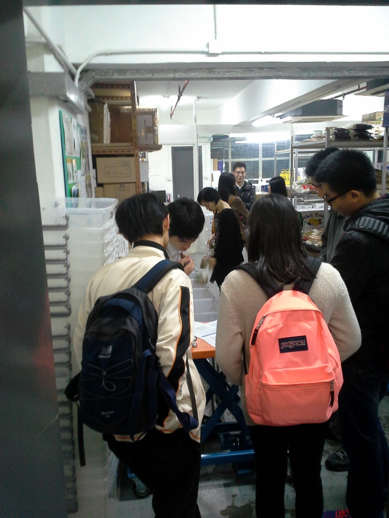 Full of  volunteers and bread donations at the FHK warehouse