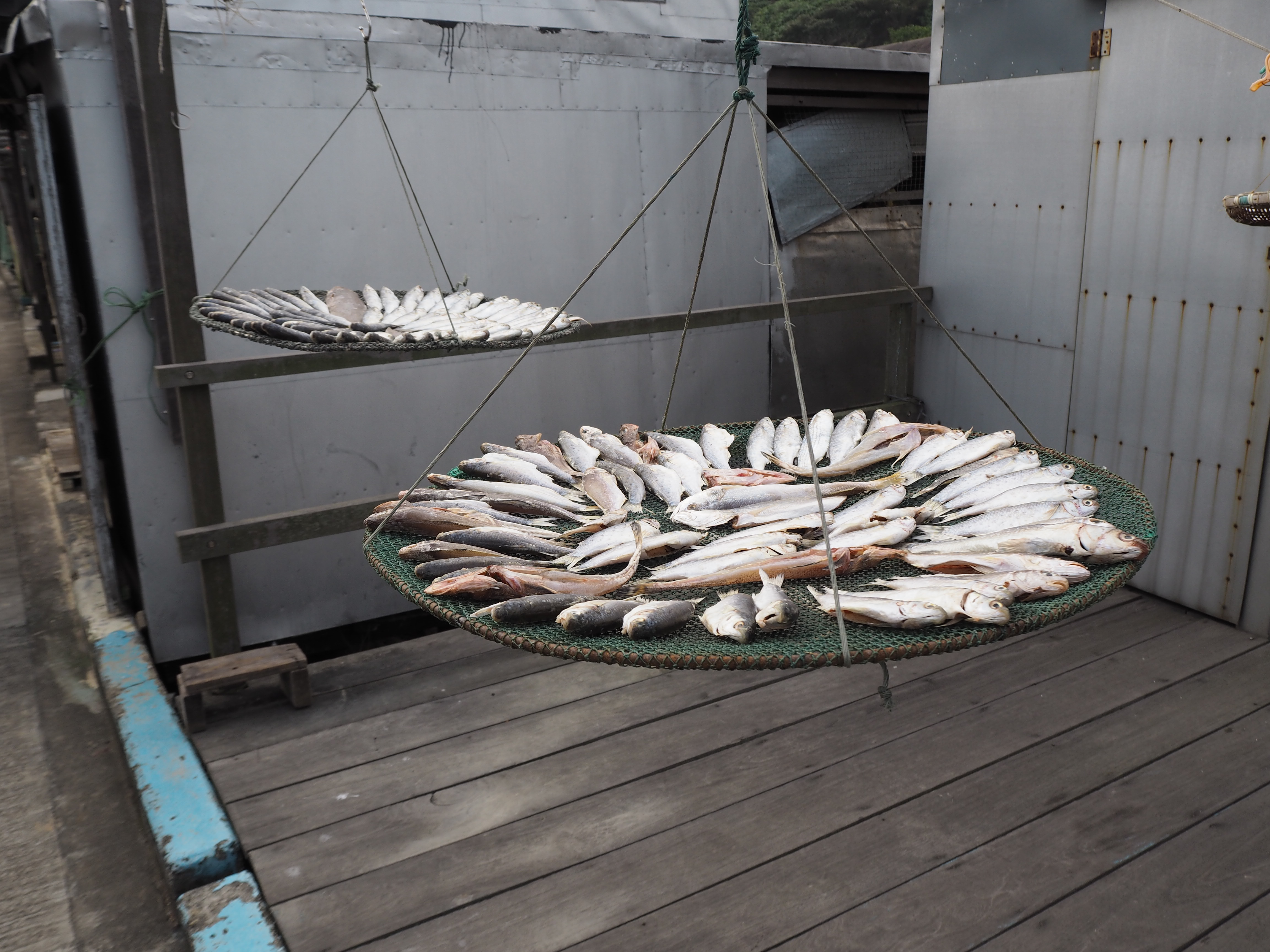 Homemade dried salted fish - a local specialty