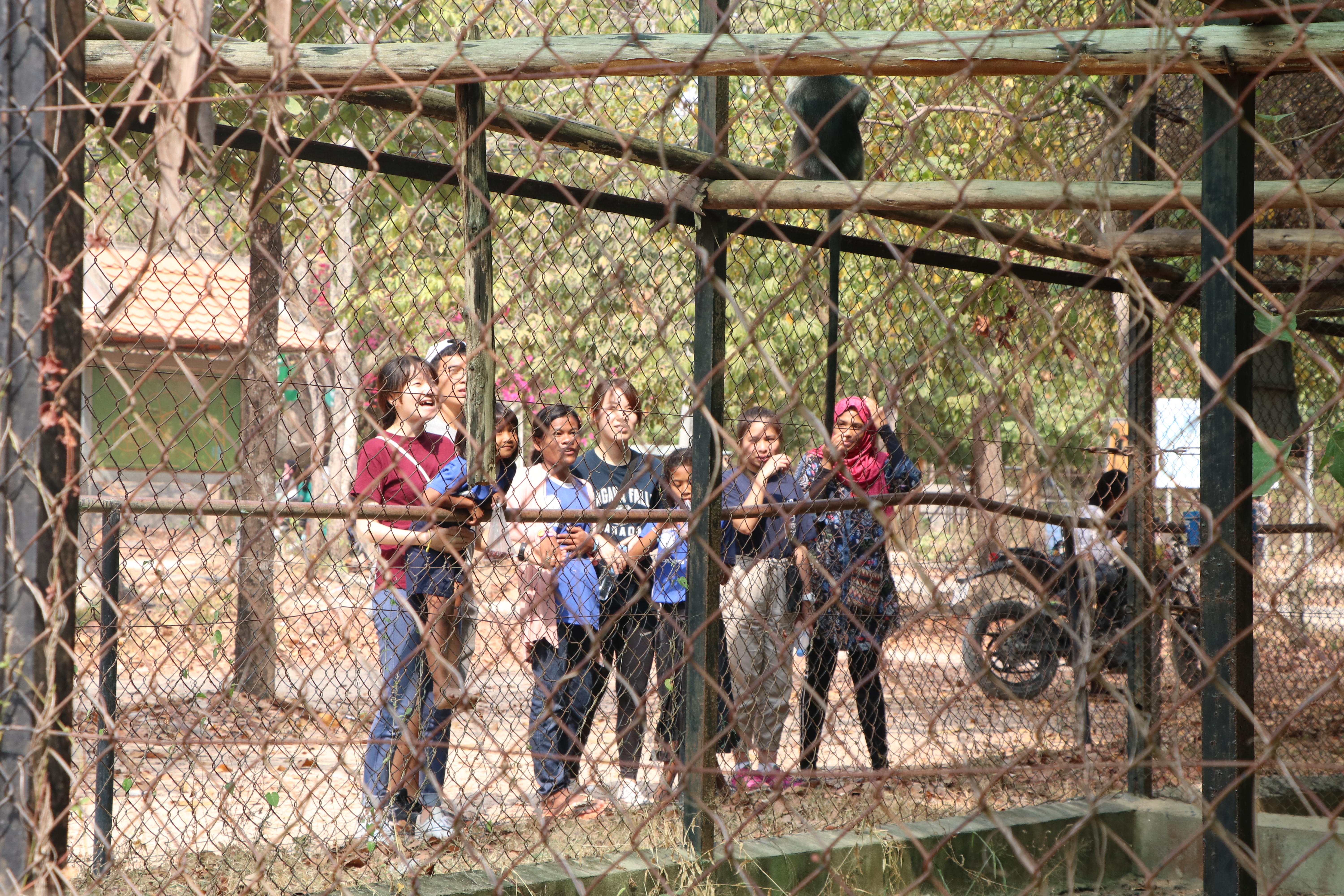 Volunteers and kids from Wat Opot exploring the zoo together, finding the monkey in the cage
