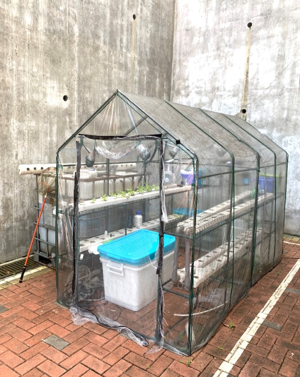 aquaponics system behind Hall IX
