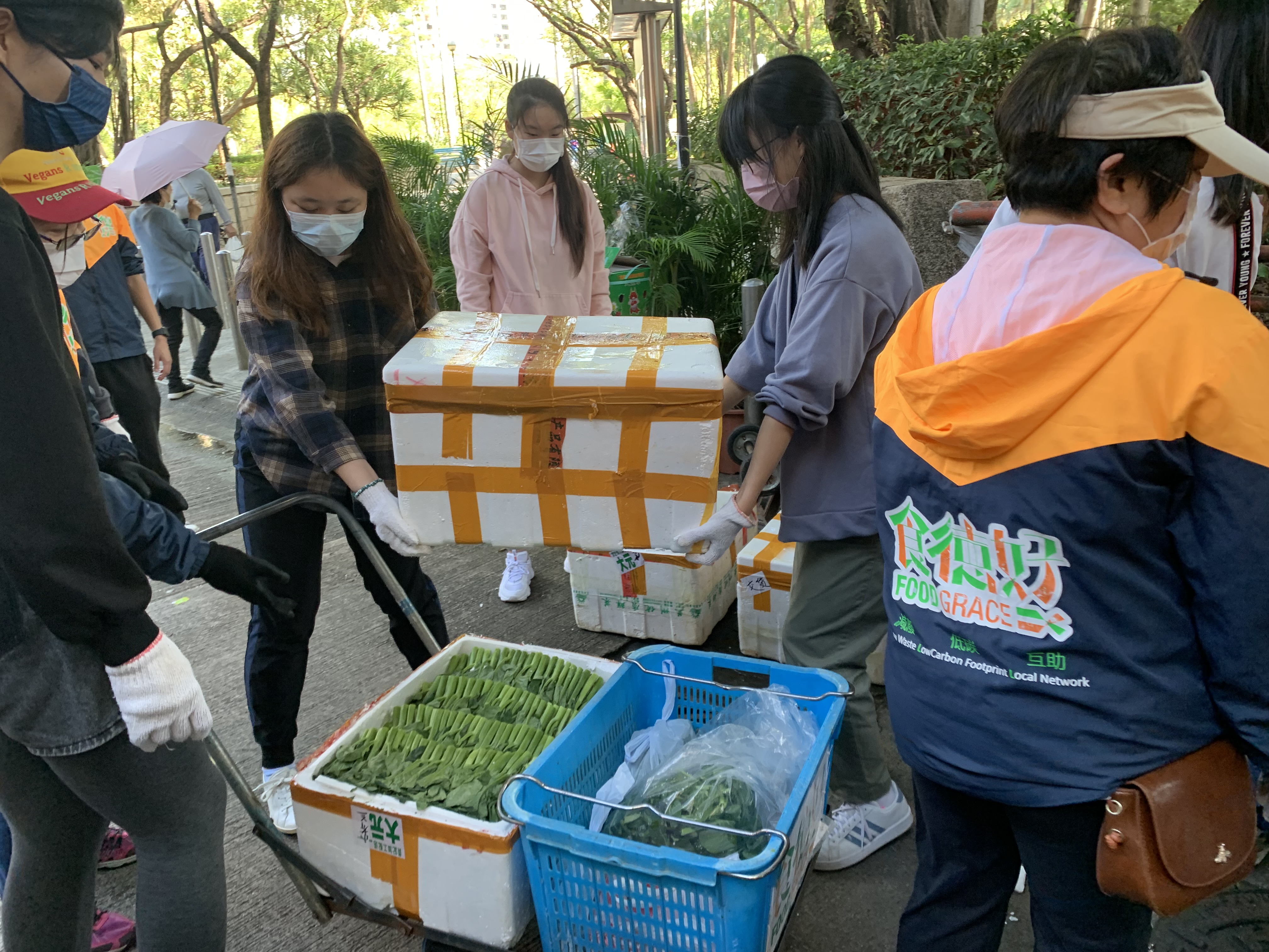 Volunteers are moving boxes of surplus vegetables to the trolley.