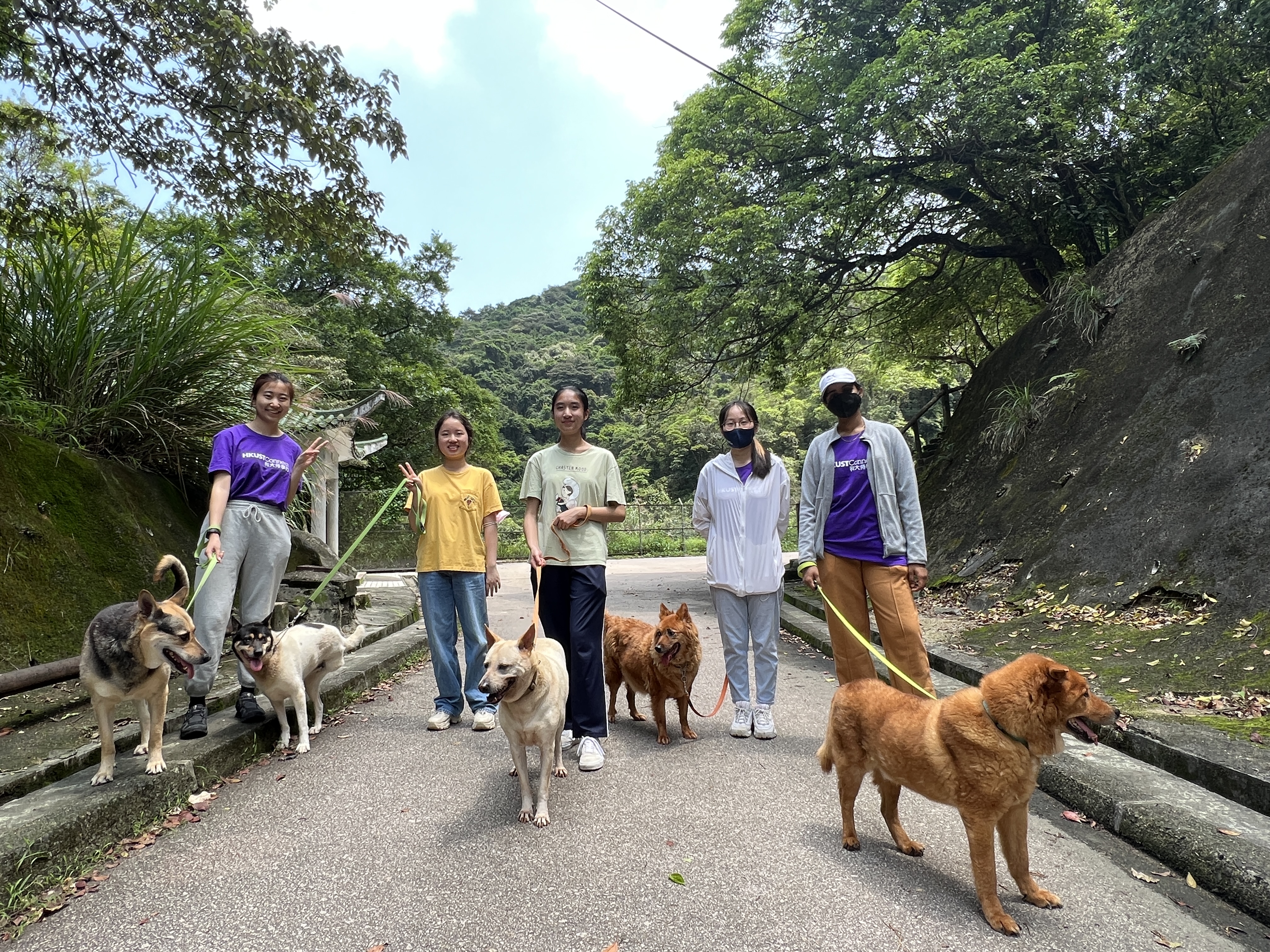 Volunteers walking the dogs