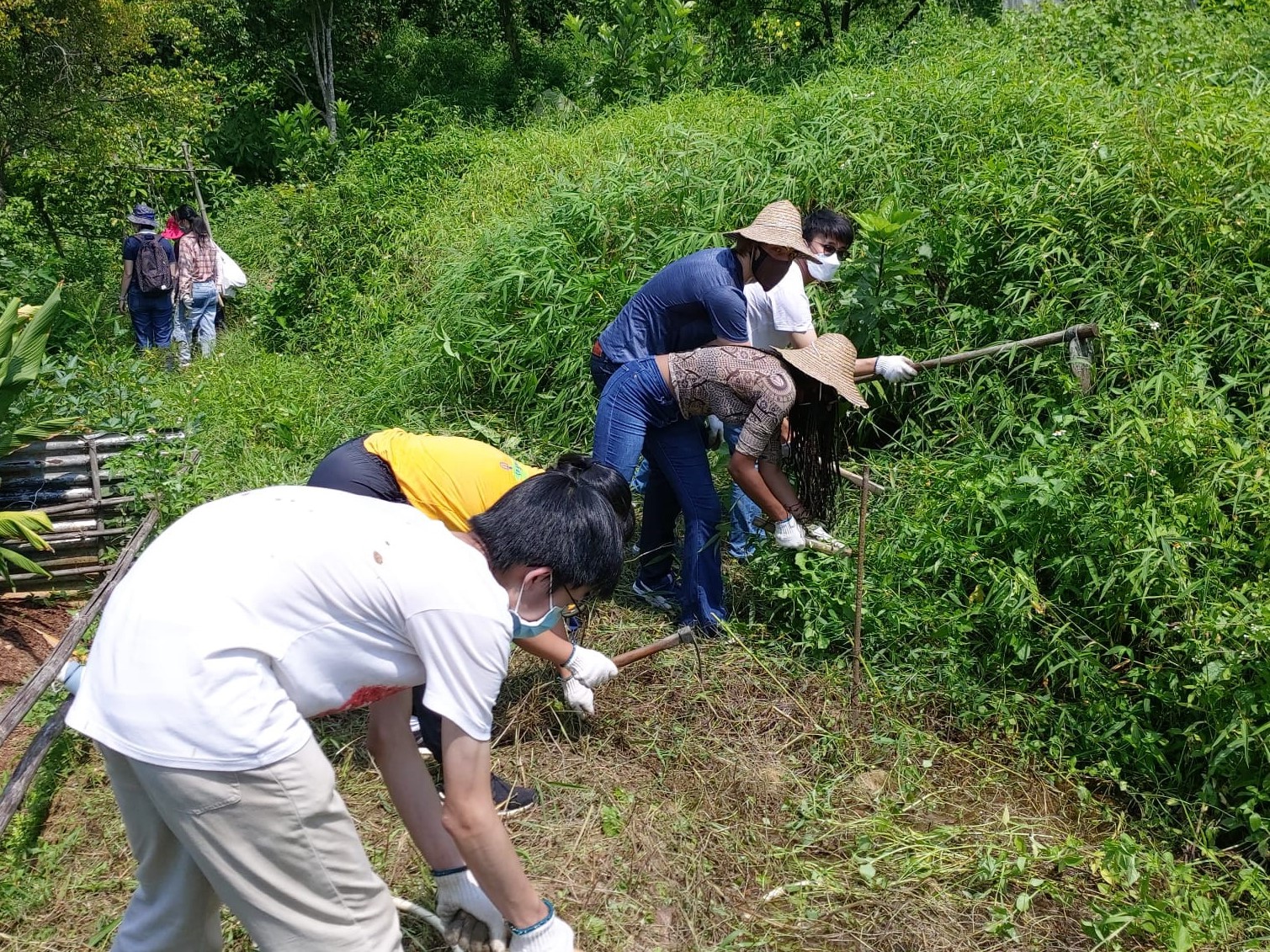 Students helping with weeding