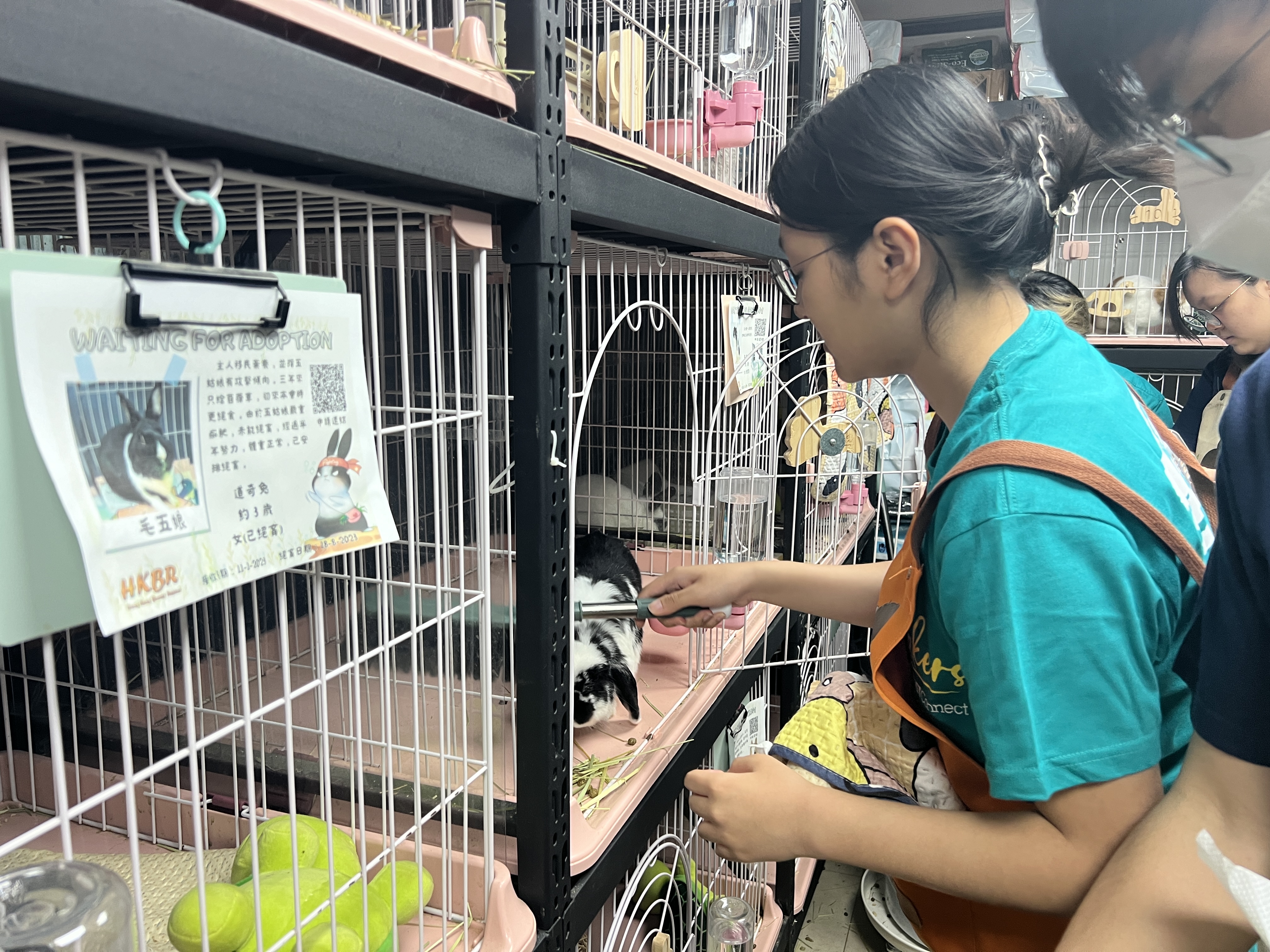 Volunteer cleaning the cage.