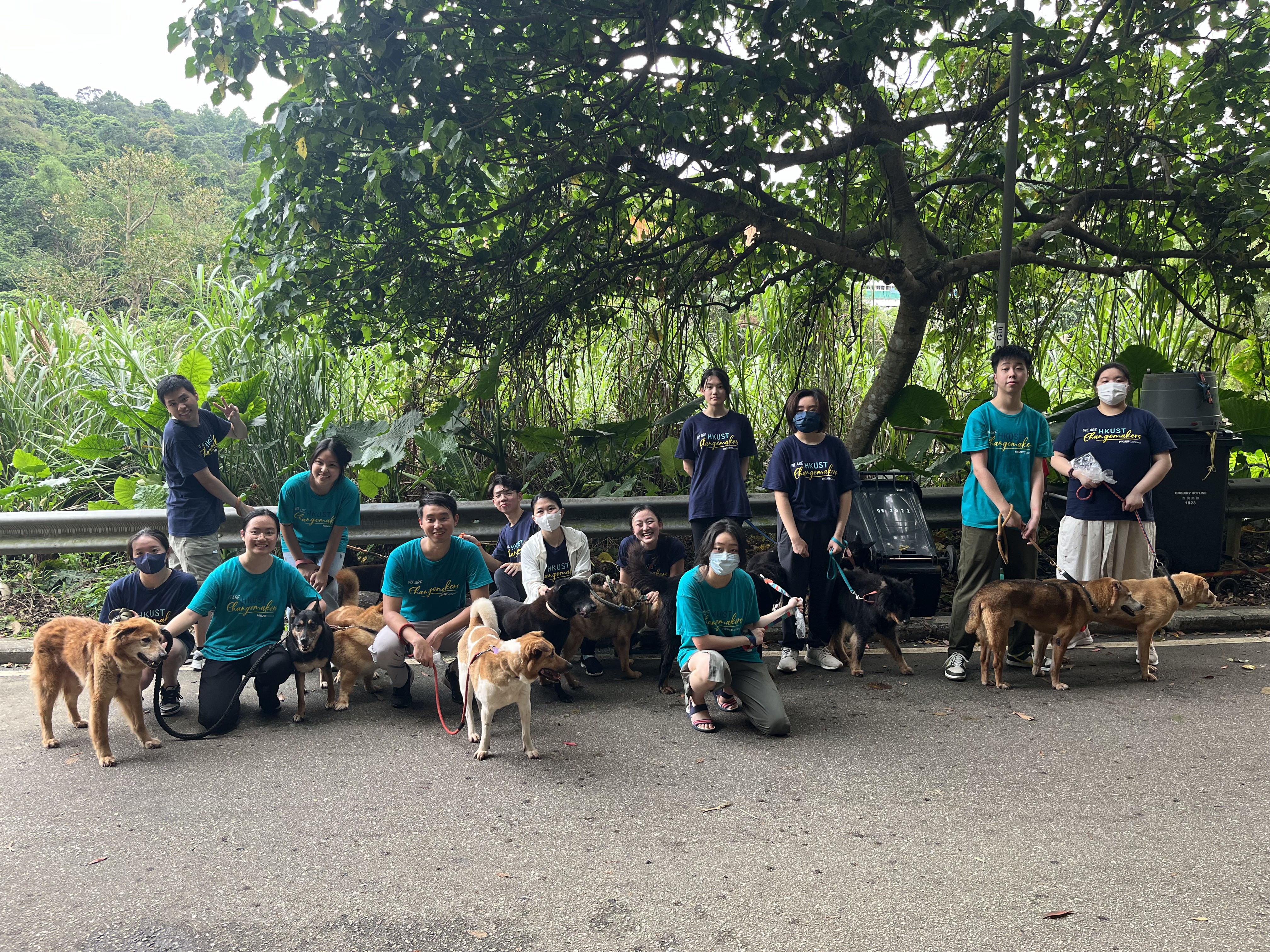 Volunteers and four-legged friends enjoying a walk together