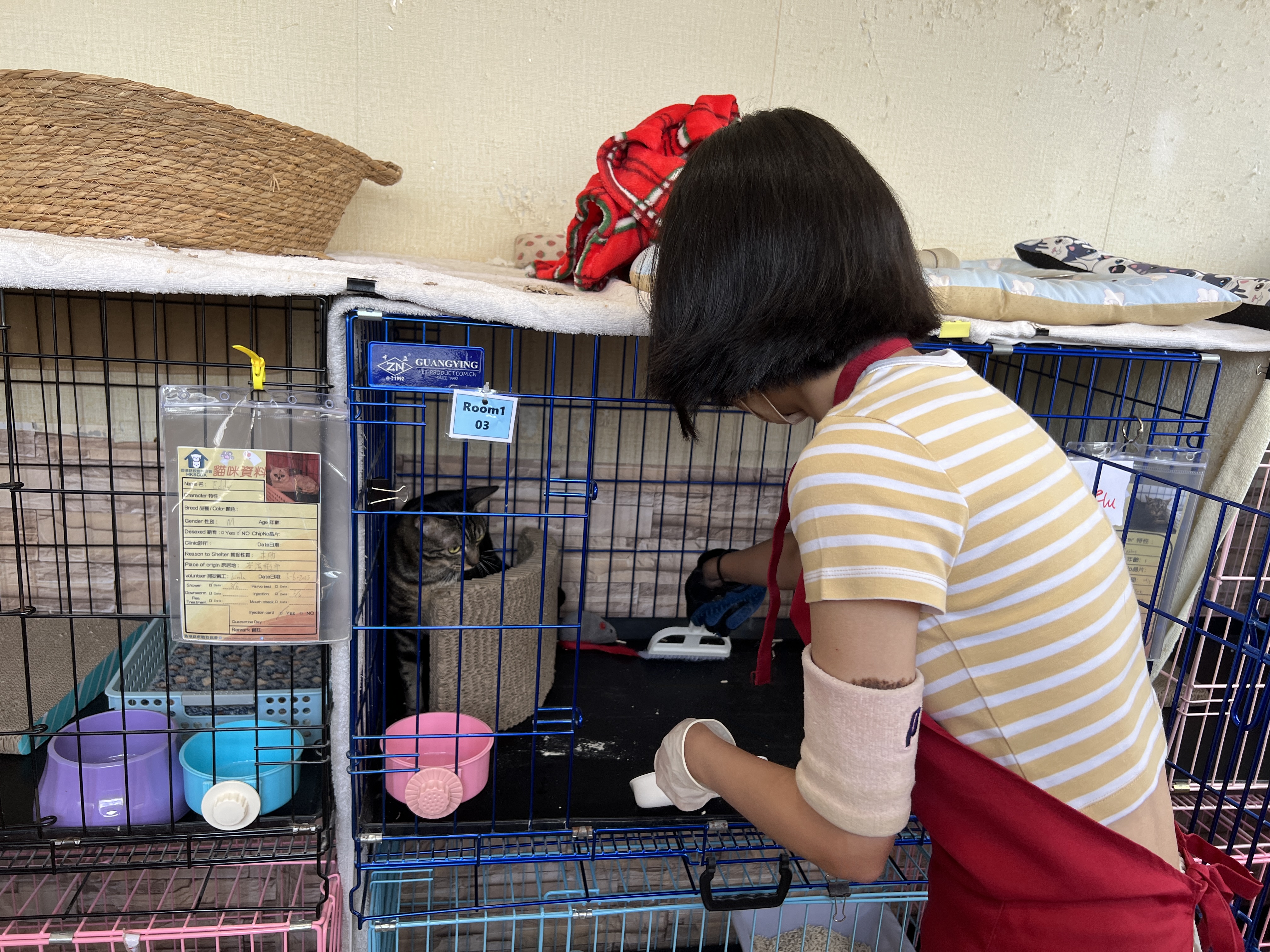 Volunteer cleaning the cage. 