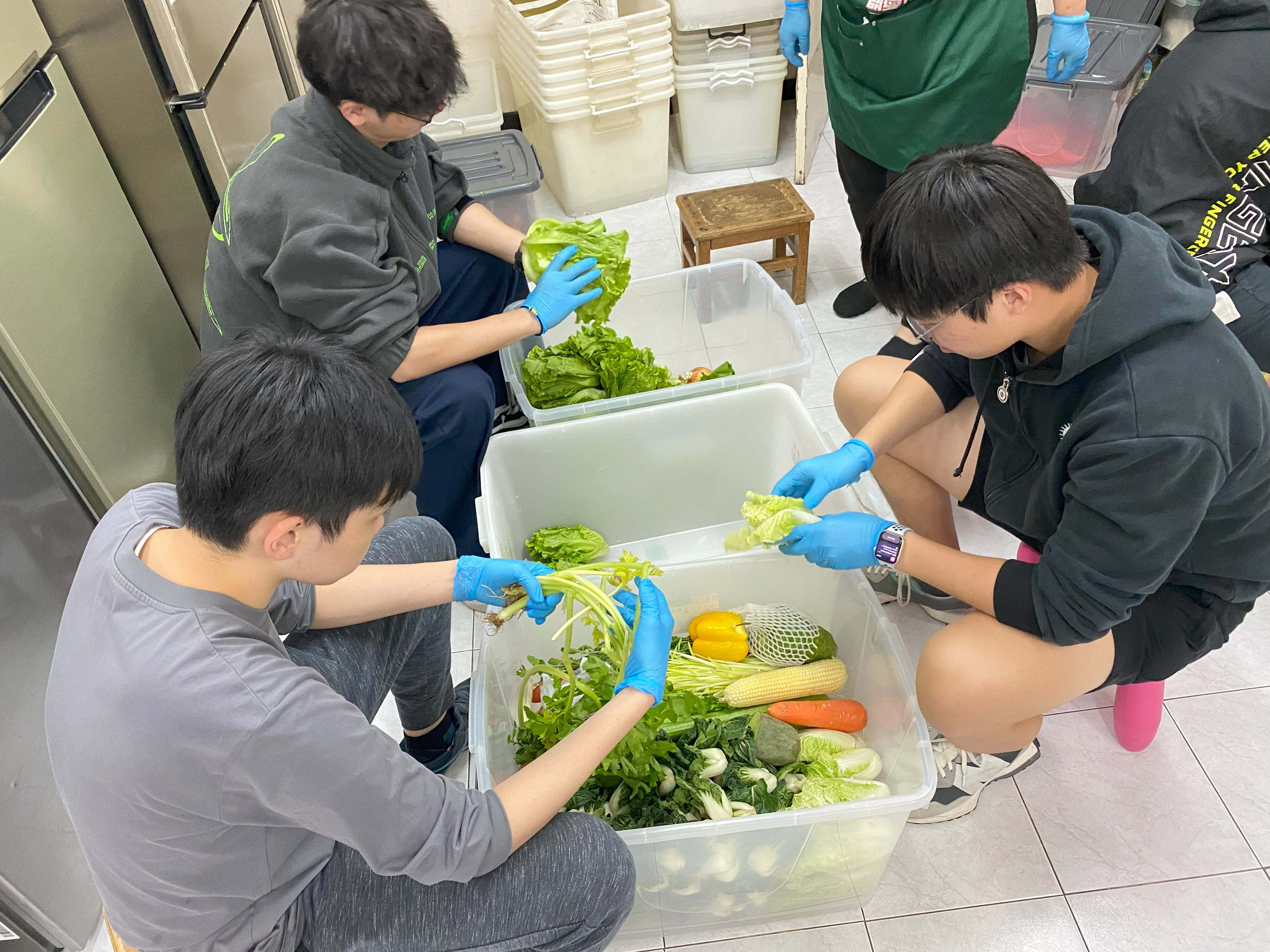 Volunteers screening on the collected food