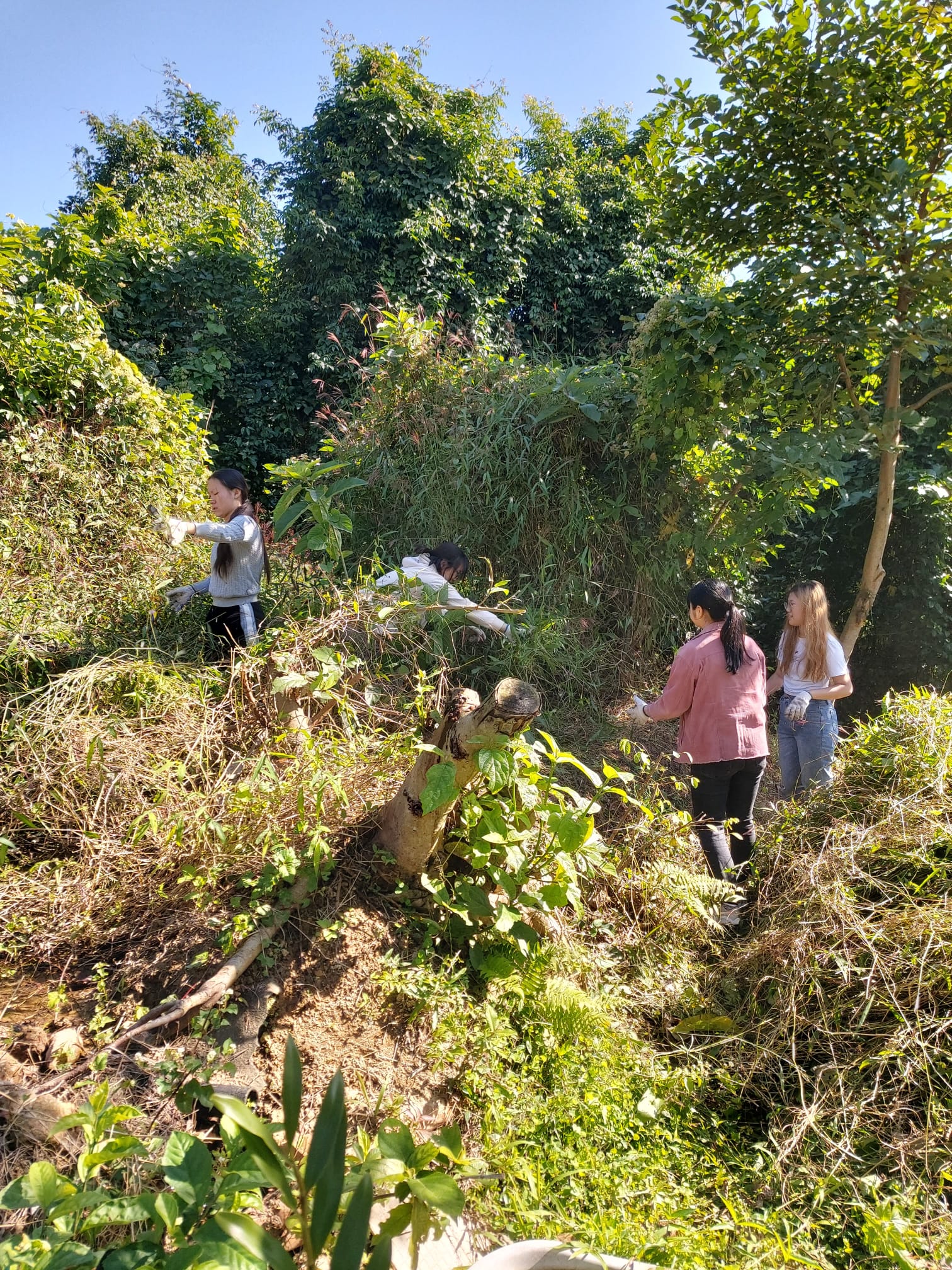Volunteers assisting in the maintenance of the Reserve
