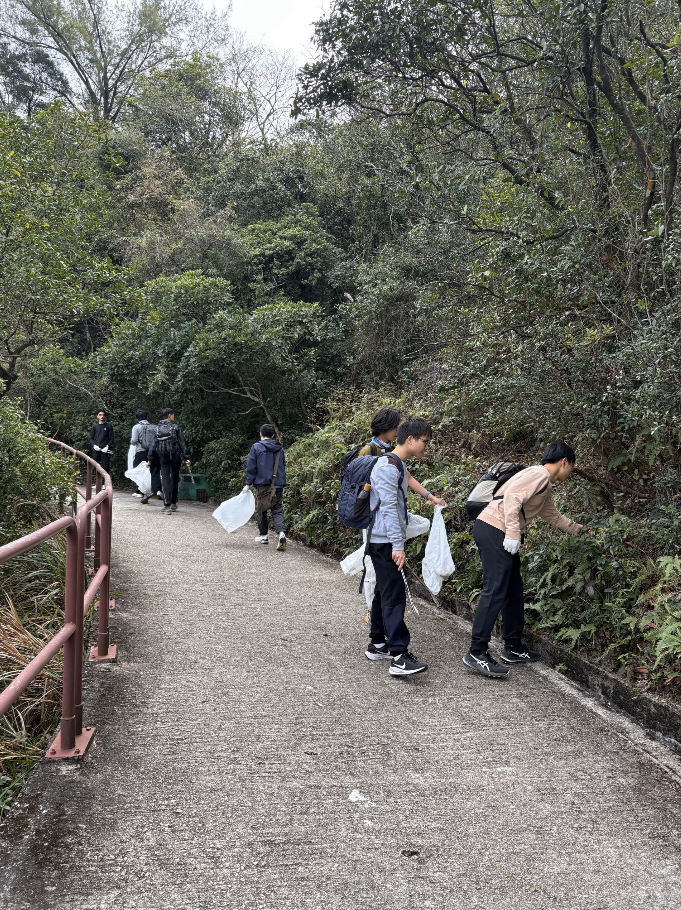 Volunteers searching for litter in the bushes