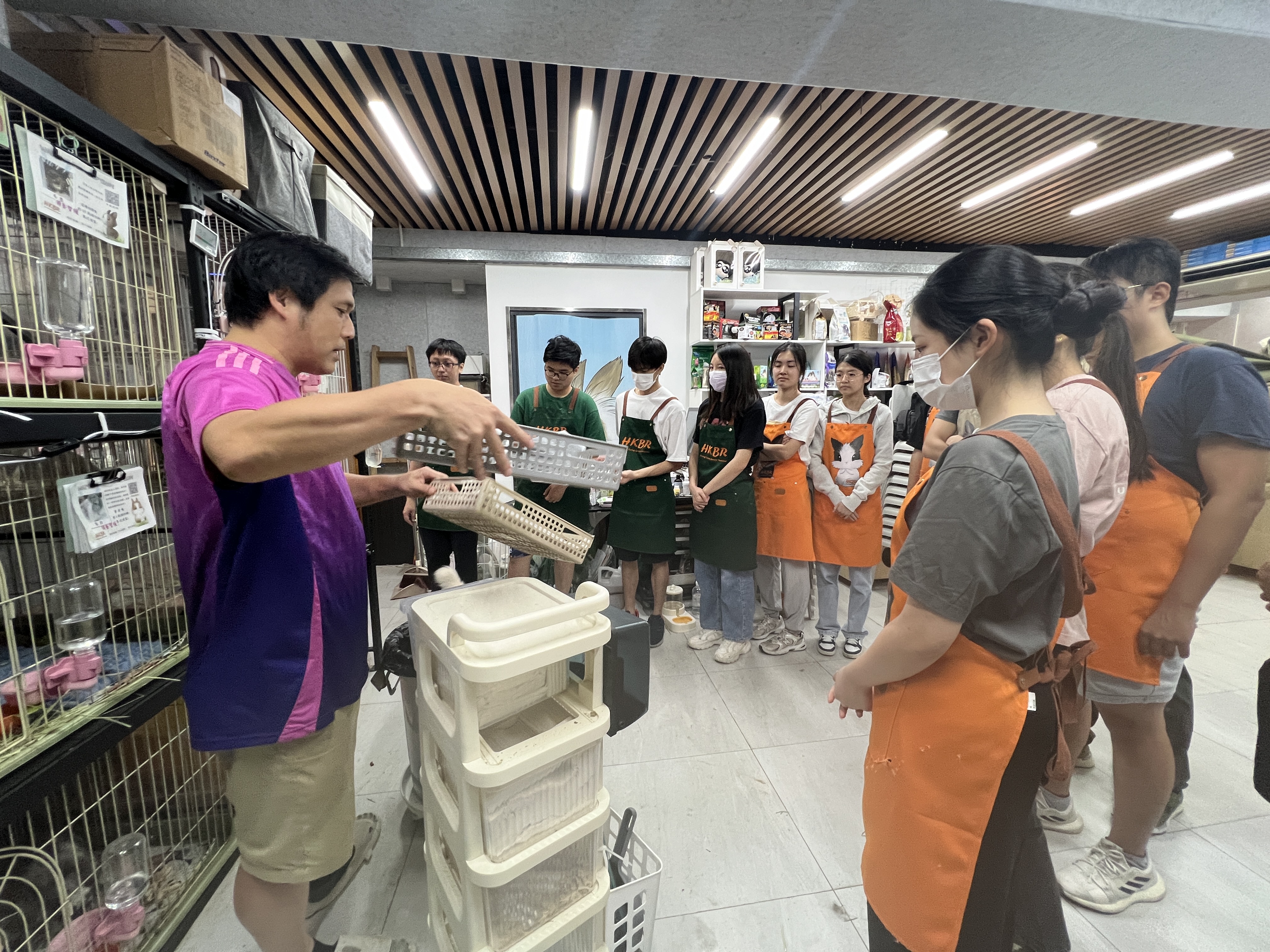 Volunteers helping out in cleaning the bunny shelter