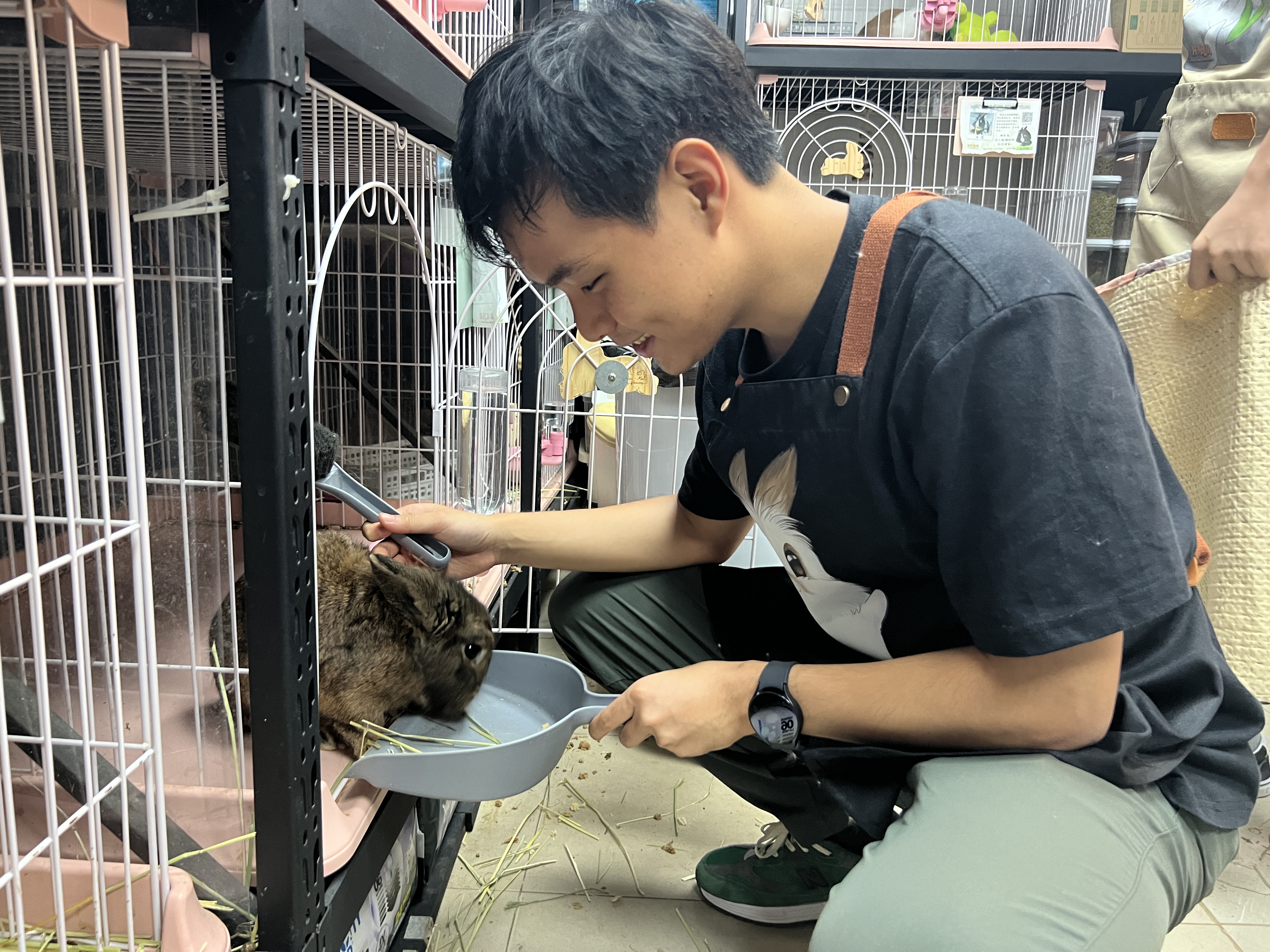 Maintaining a clean environment is crucial for bunnies' health