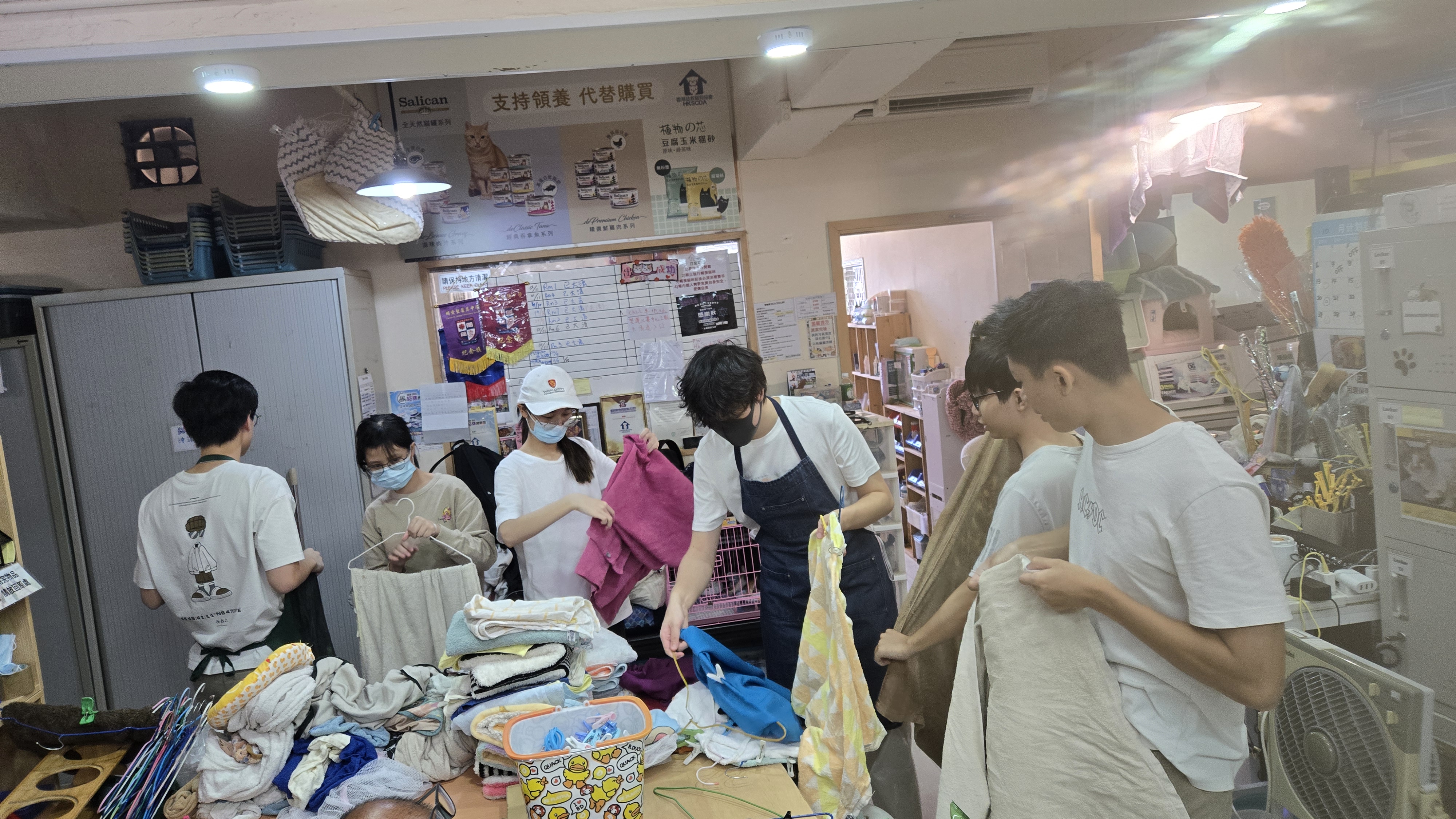 Students supporting the daily operations of the cat shelter