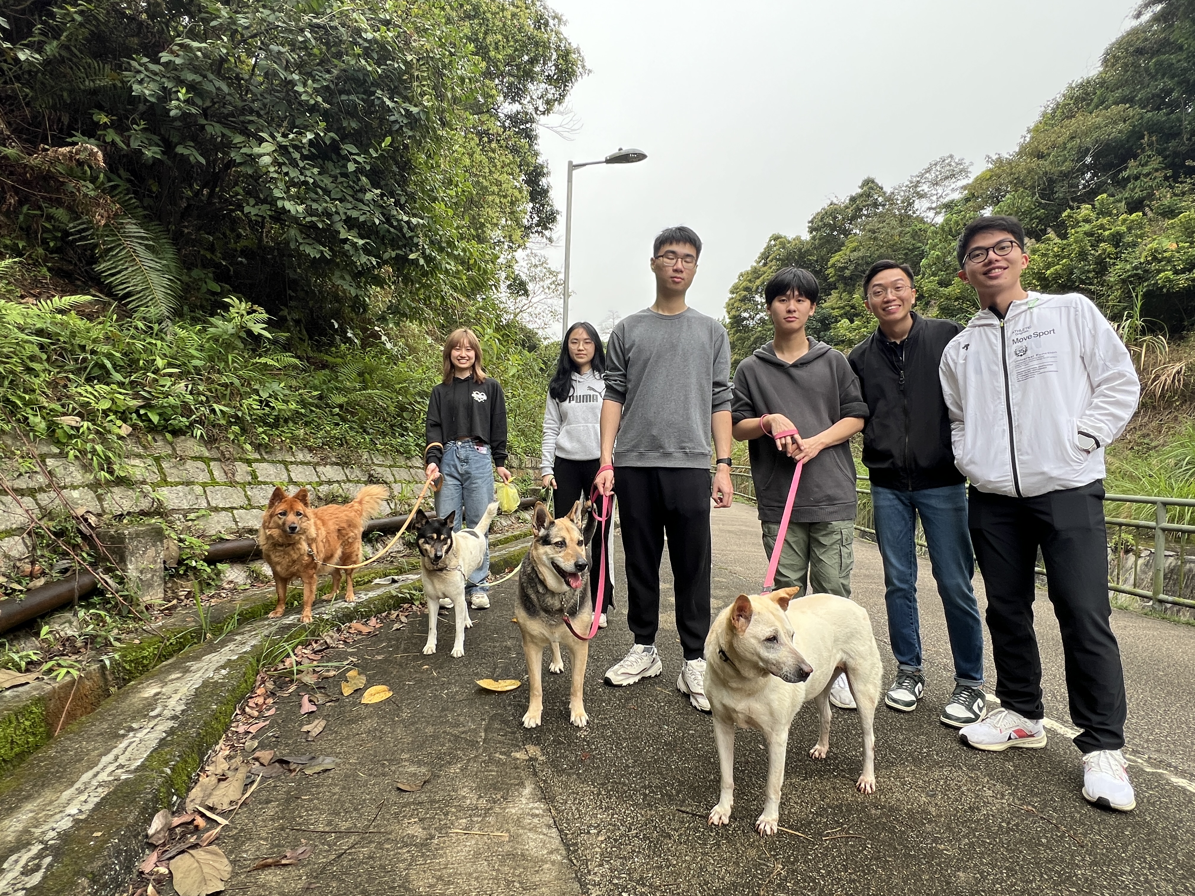 Our volunteers and canine friends enjoying the much needed walk! 