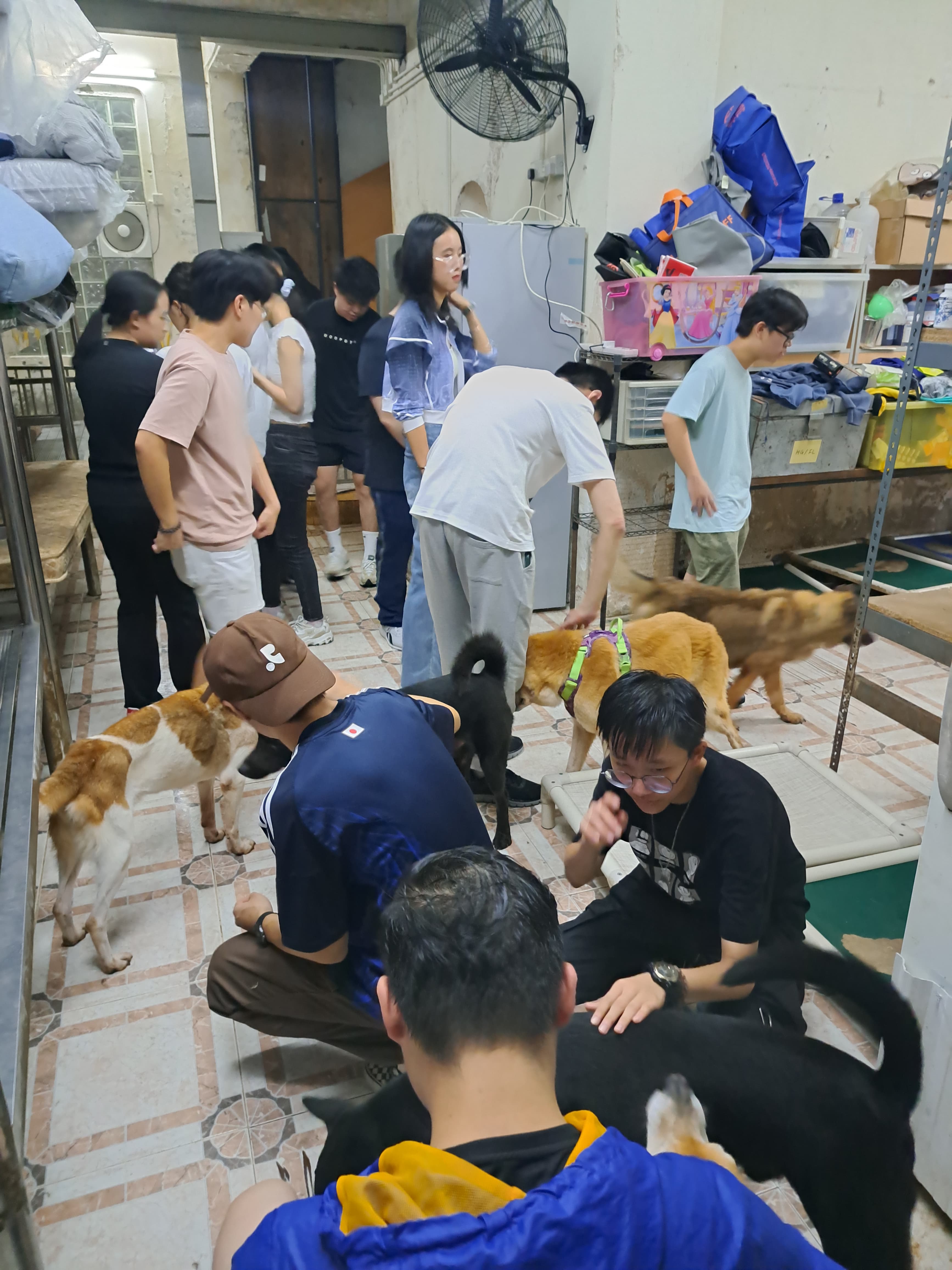 Students interacting and bonding with the dogs