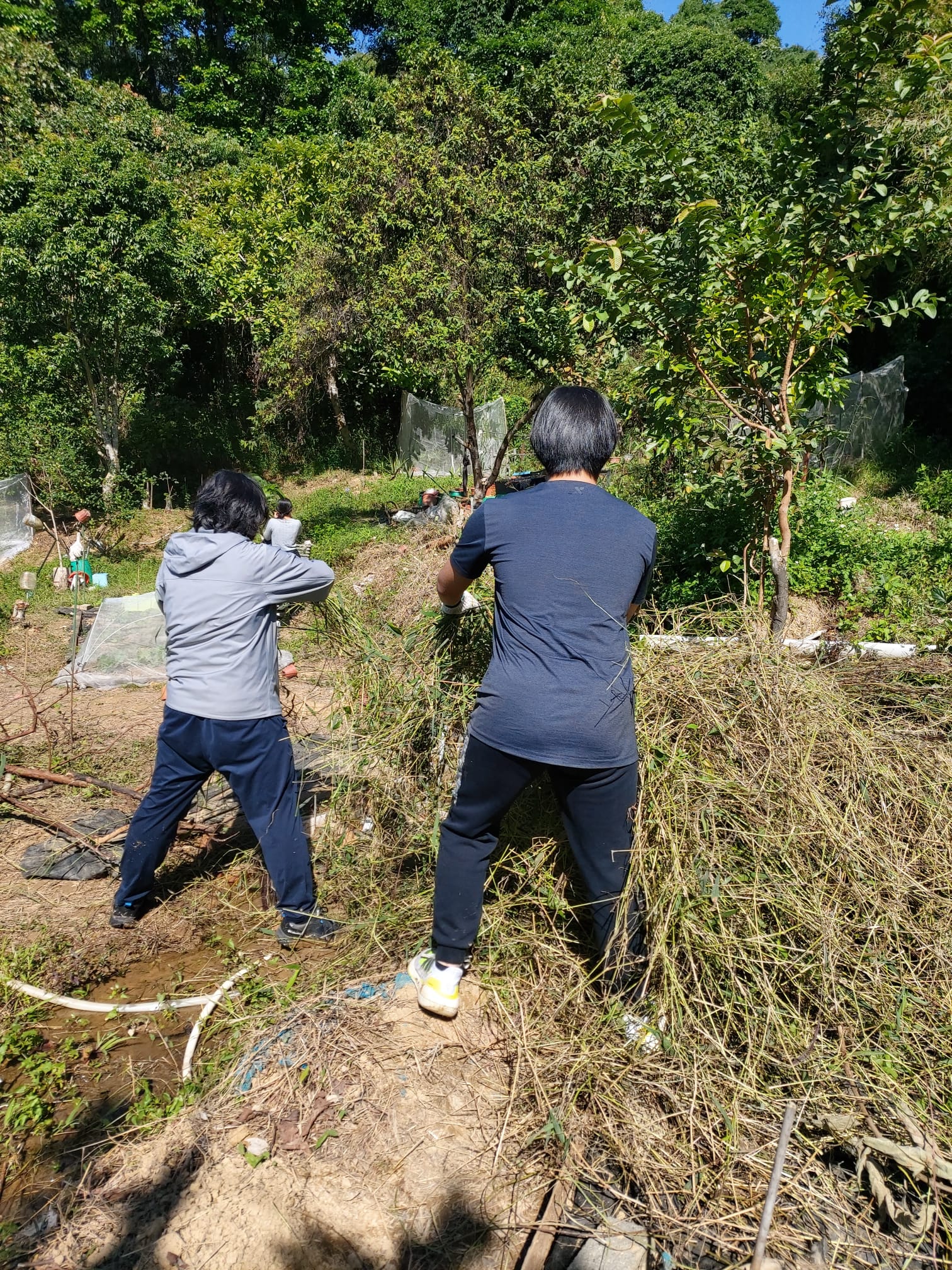 Students assisting the daily maintenance of the Reserve