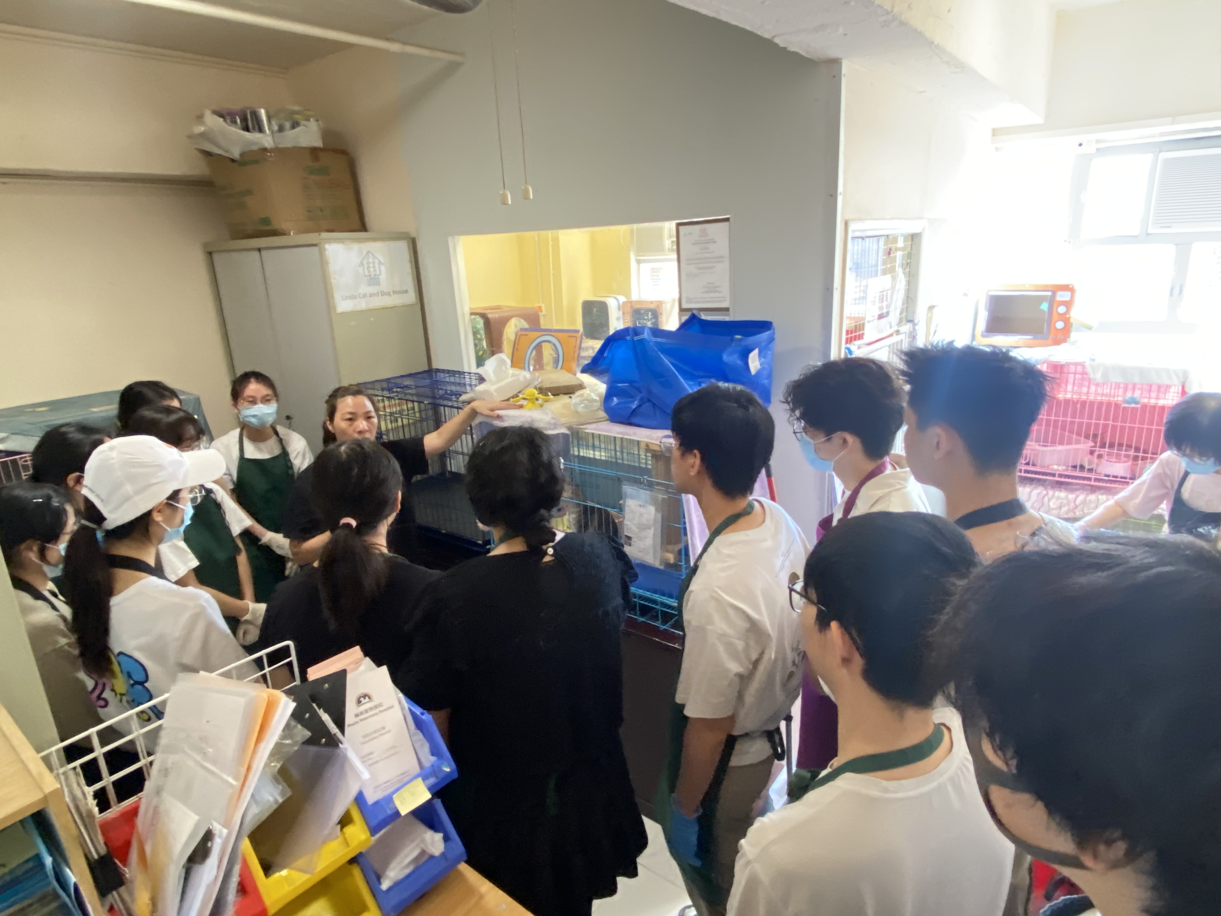 Students learning about the daily operations of the cat shelter
