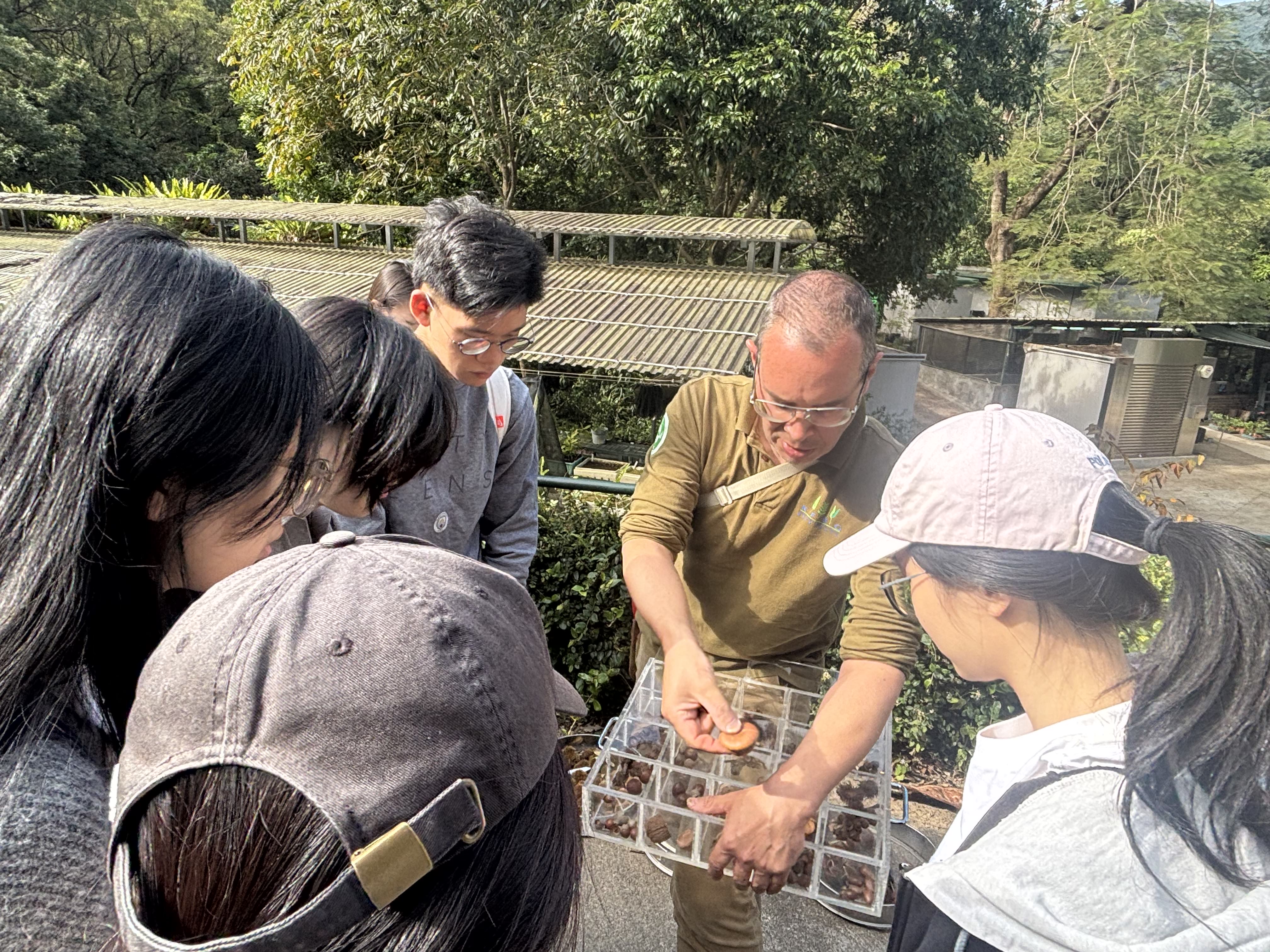Guide introducing various plant species to volunteers in Kadoorie Farm and Botanic Garden
