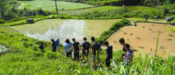 Guizhou Service Learning Trip