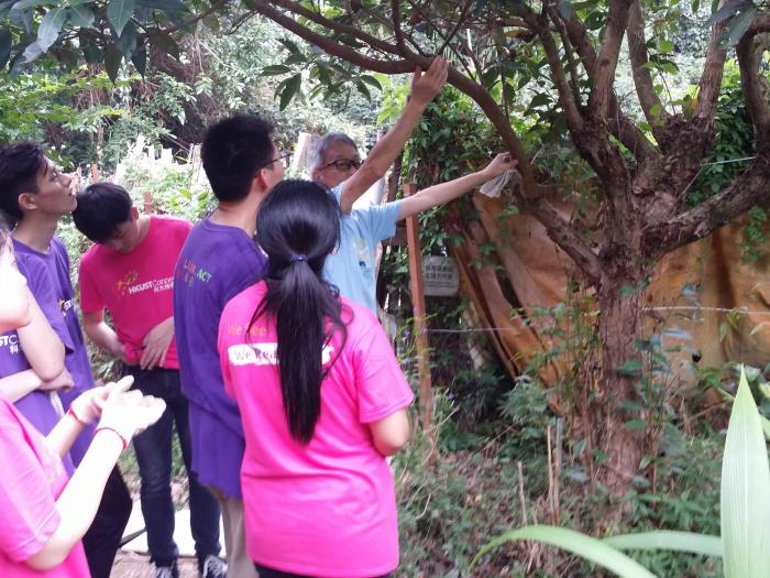 Learning about the biodiversity in the Reserve