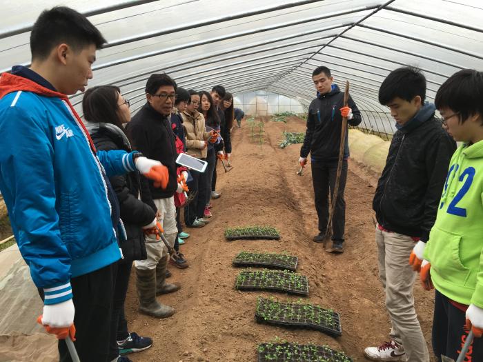 The team visiting the organic farm and practicing farm work