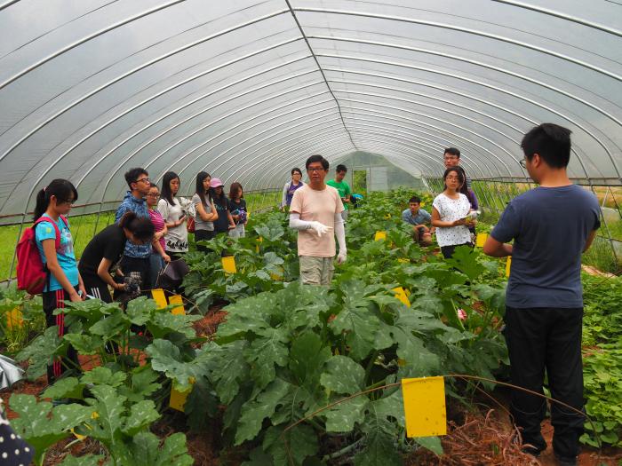 The founder of the farm is teaching volunteers how a farm operates
