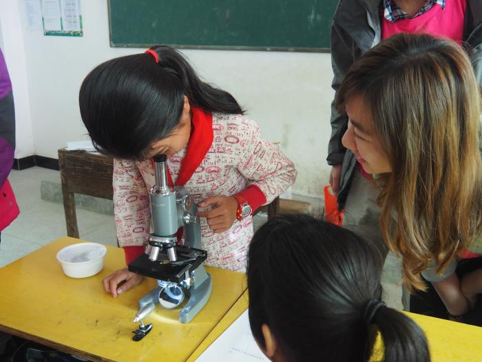 Introducing the use of microscopes