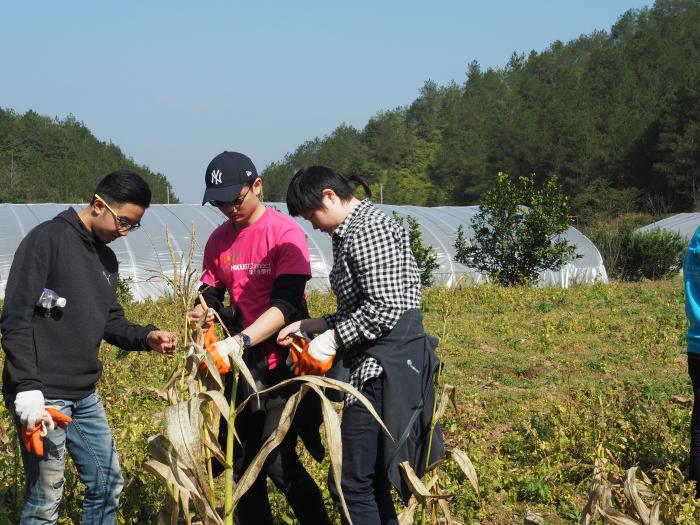 The team visiting the organic farm and practicing farm work