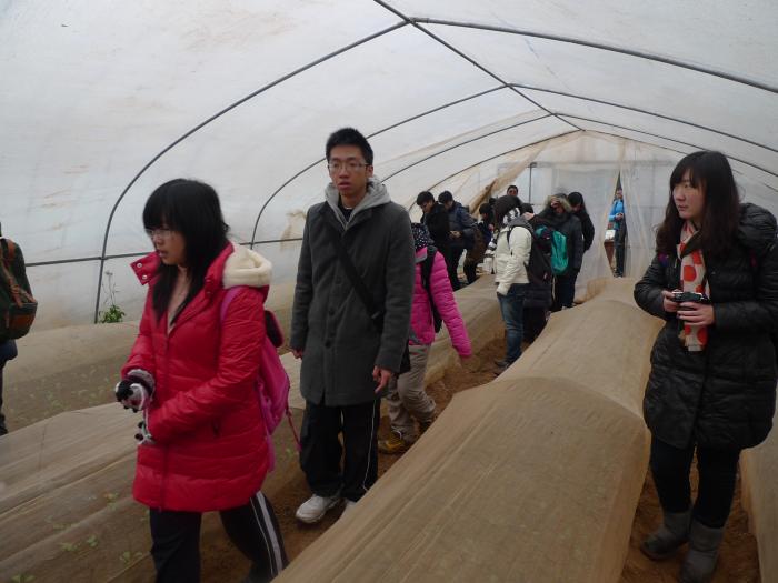 Volunteers visiting the “Providence Farm Family”