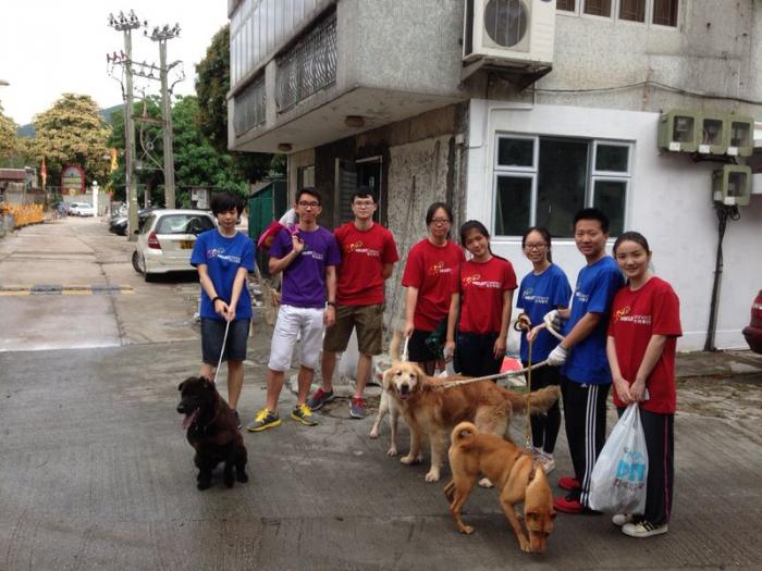 A group photo of the dogs and volunteers