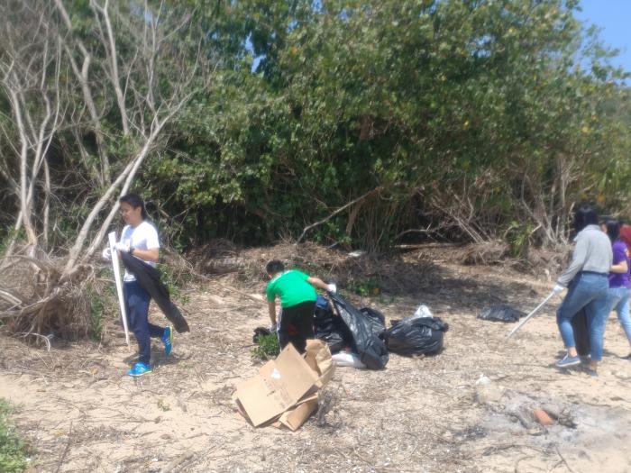 Volunteers collecting rubbish.