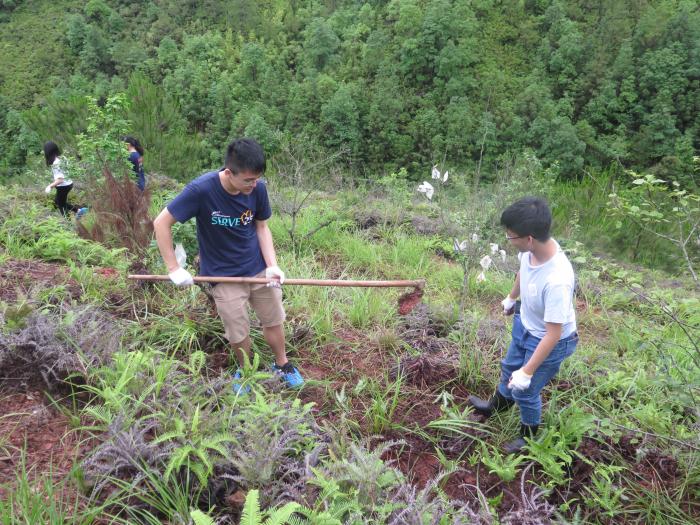 Volunteers experiencing farm works