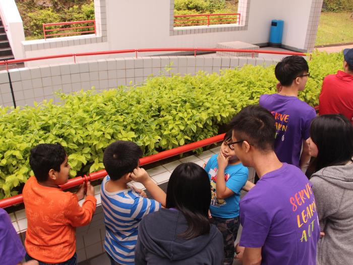 Volunteers accompanying the kids to walk around campus.