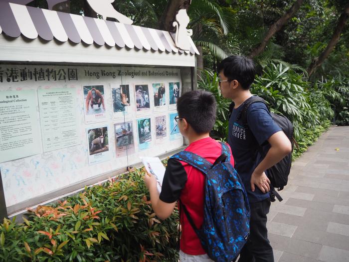 Children learning English around Hong Kong