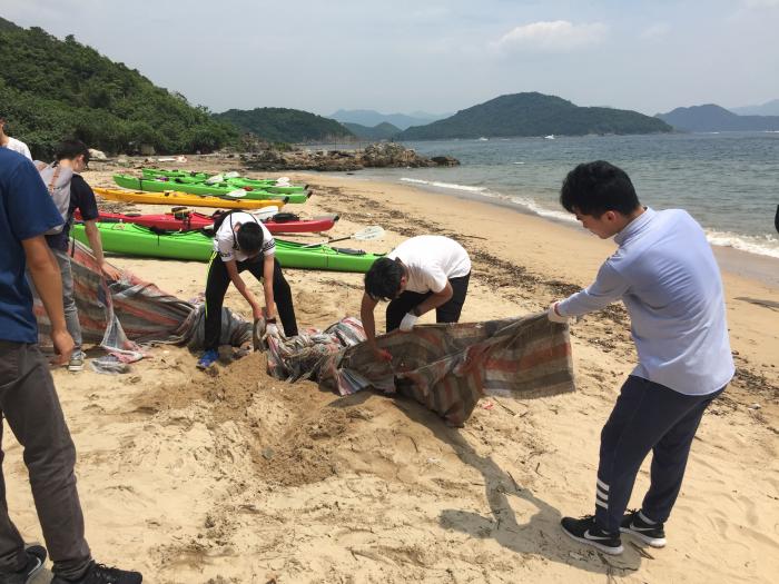 Volunteers in groups collect trash from the beach