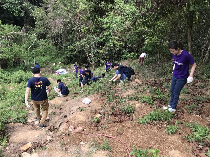 Volunteers helped preserve the butterfly habitat