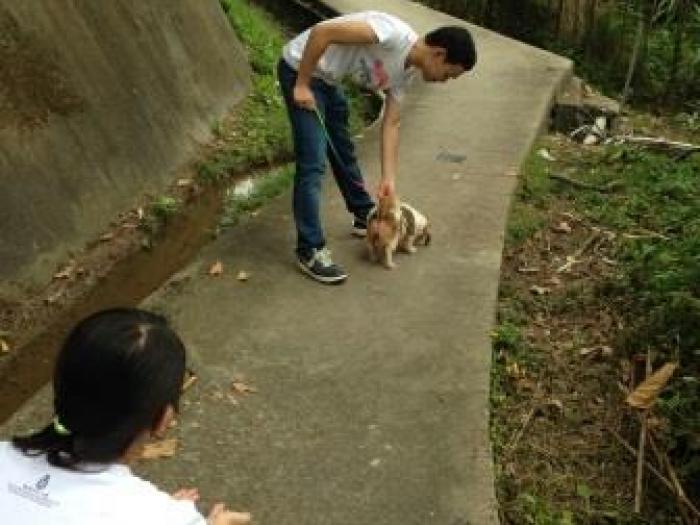 Volunteers walking with a dog