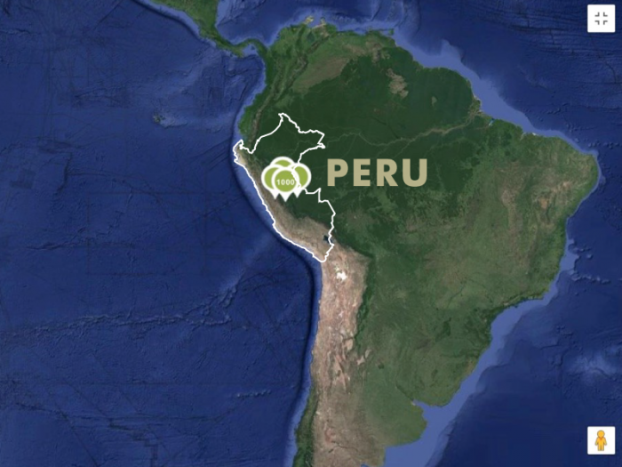 adopt a tree in Peru